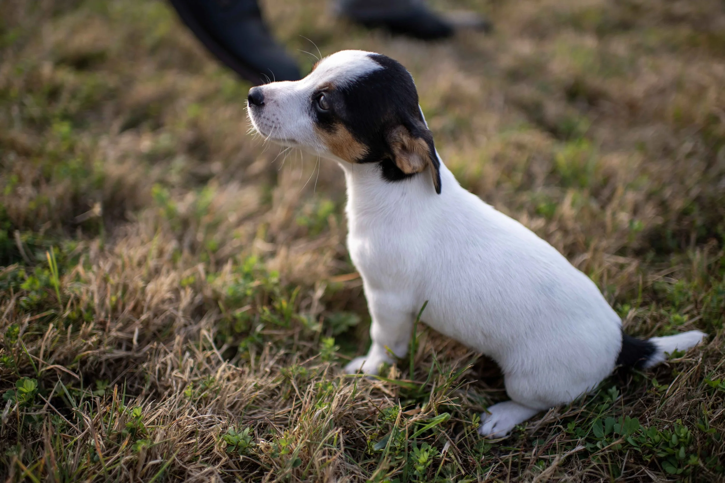 Oceanside Wedding_062.jpg