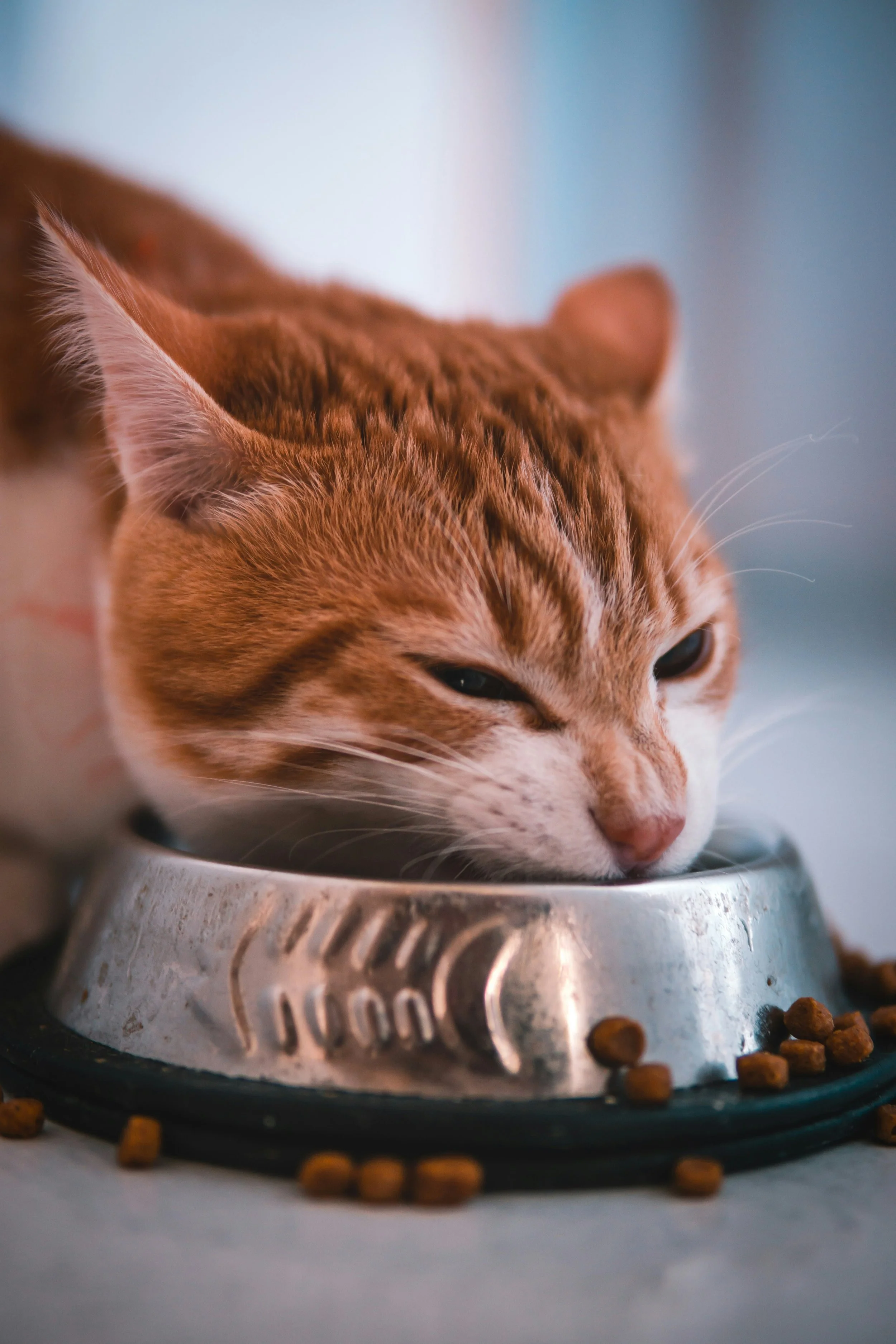 The Problem with the Bottomless Bowl
