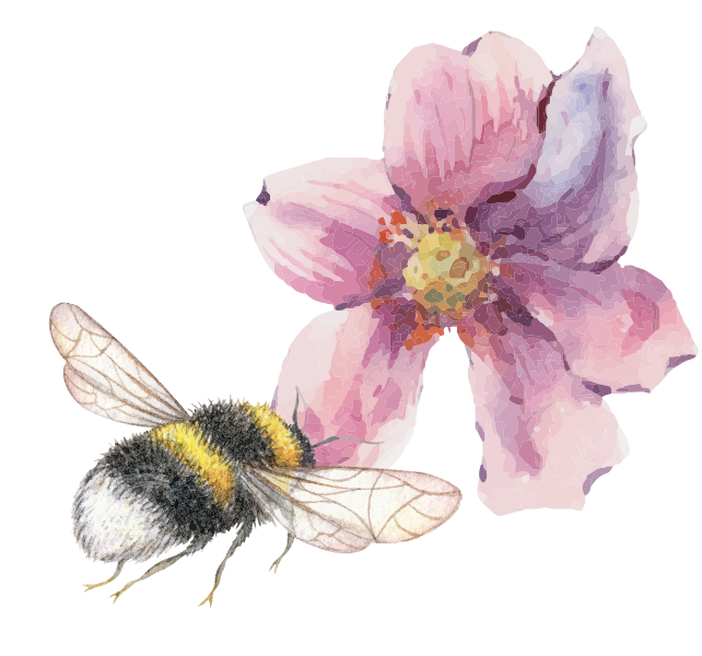 A watercolor illustration of a bee flying near a pink flower.