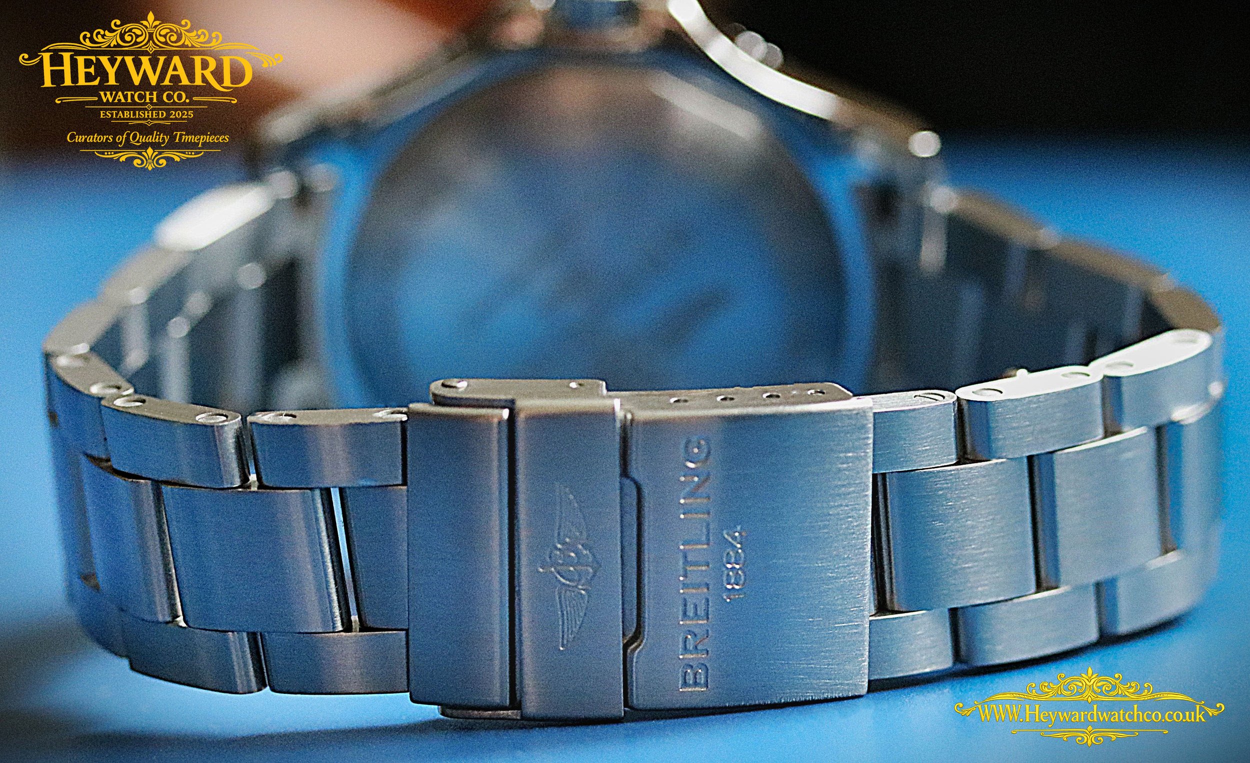 7 Clasp & Caseback copy.jpg