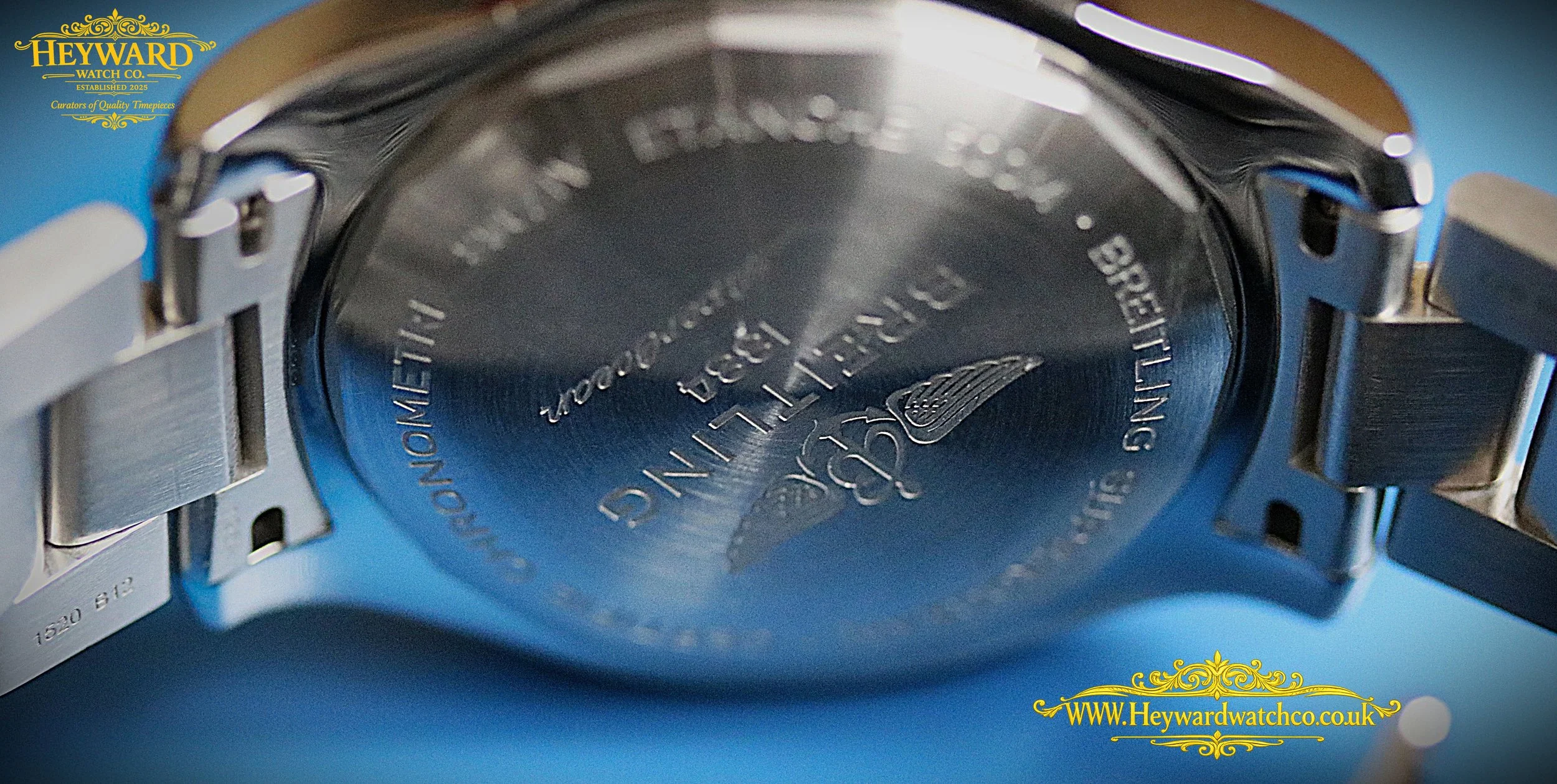 8 Caseback copy.jpg