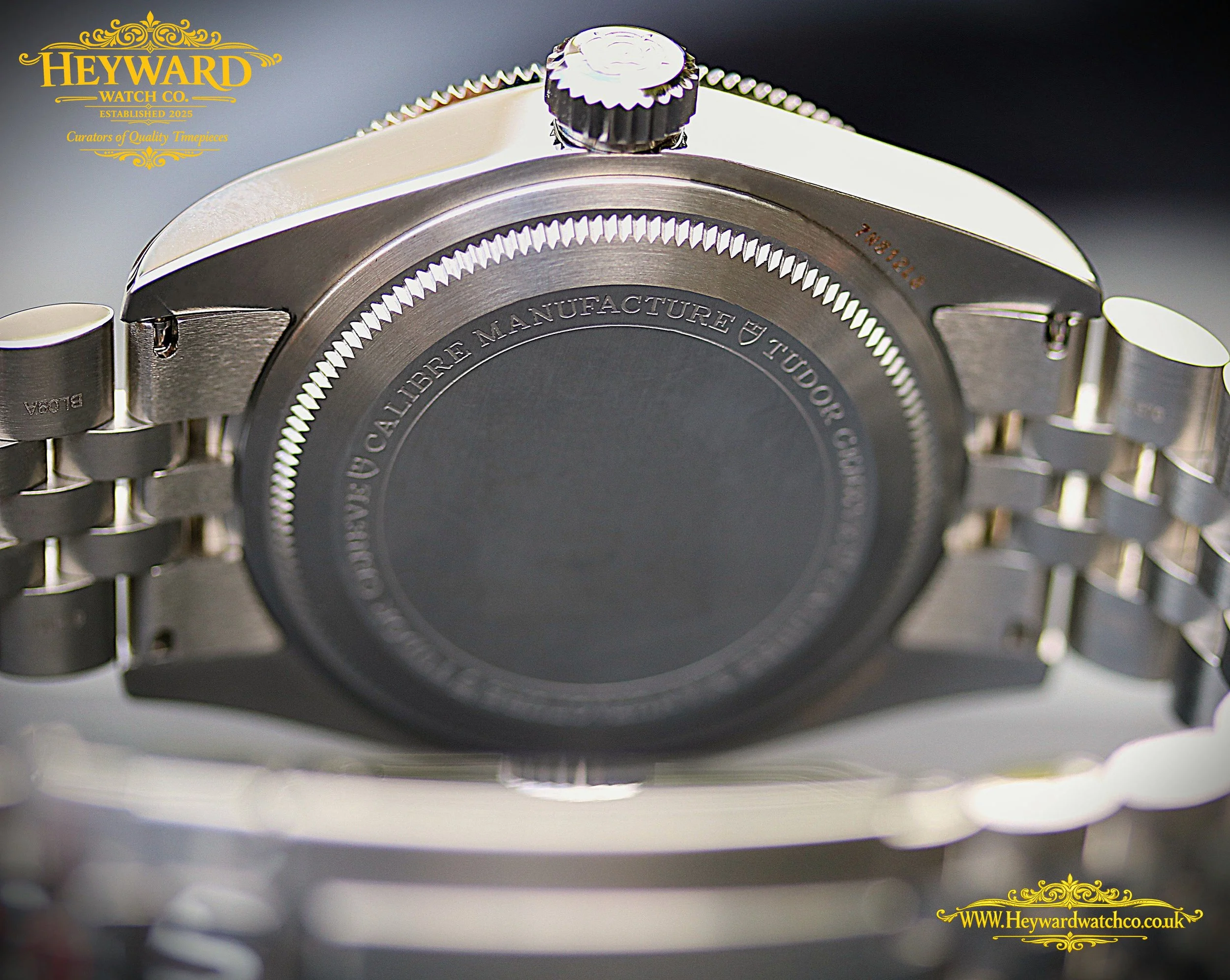 7 Caseback copy.jpg