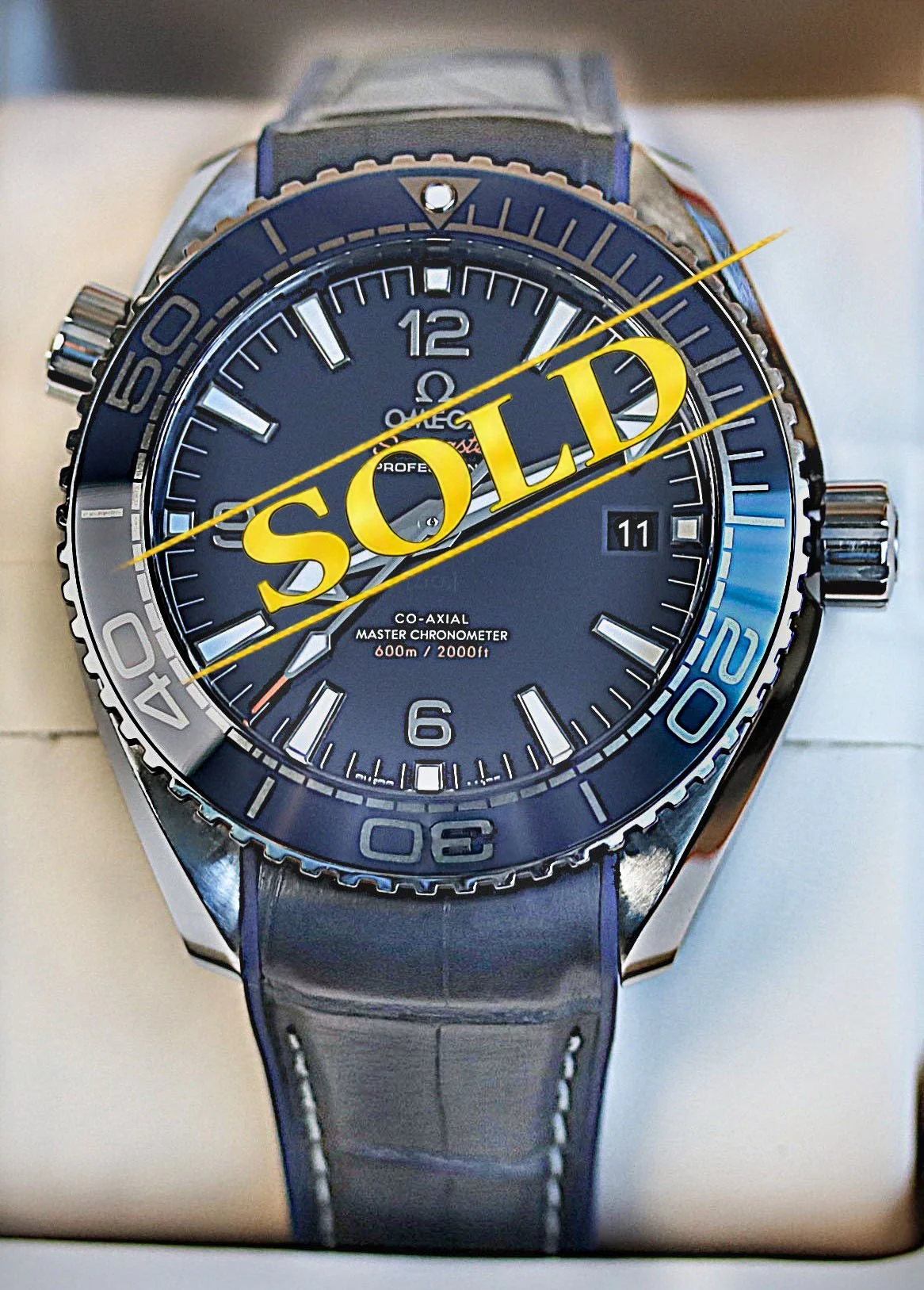 Omega Planet Ocean 600