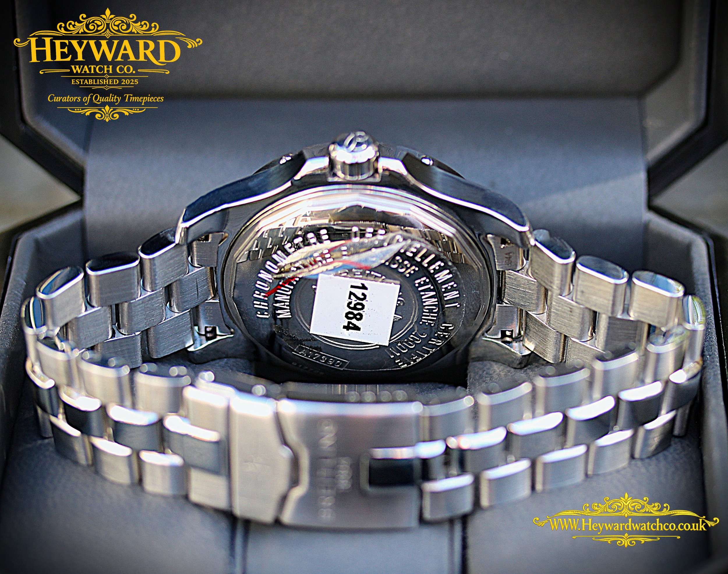8 Caseback copy.jpg