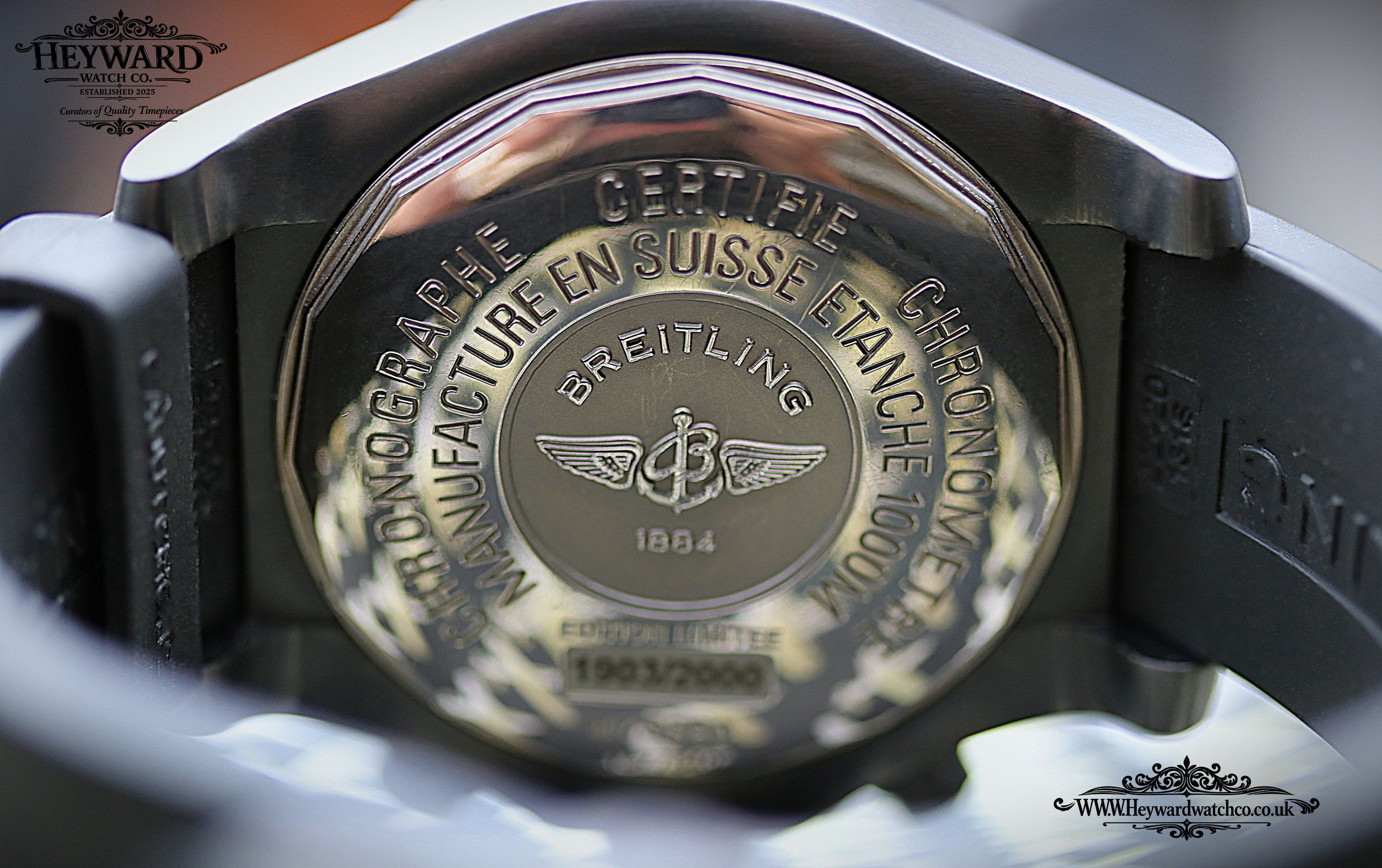 6 Caseback copy.jpg