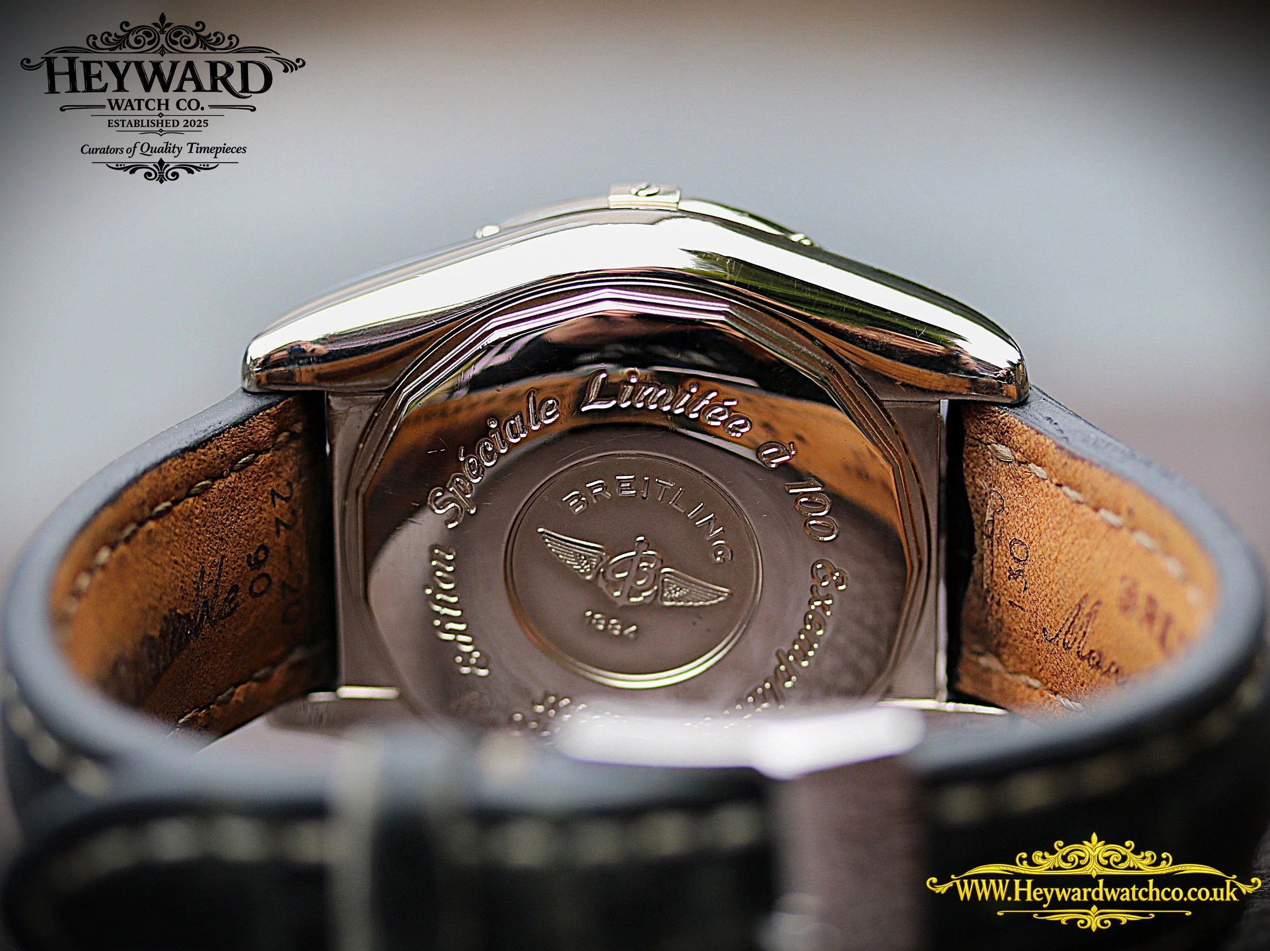 6 Caseback copy.jpg