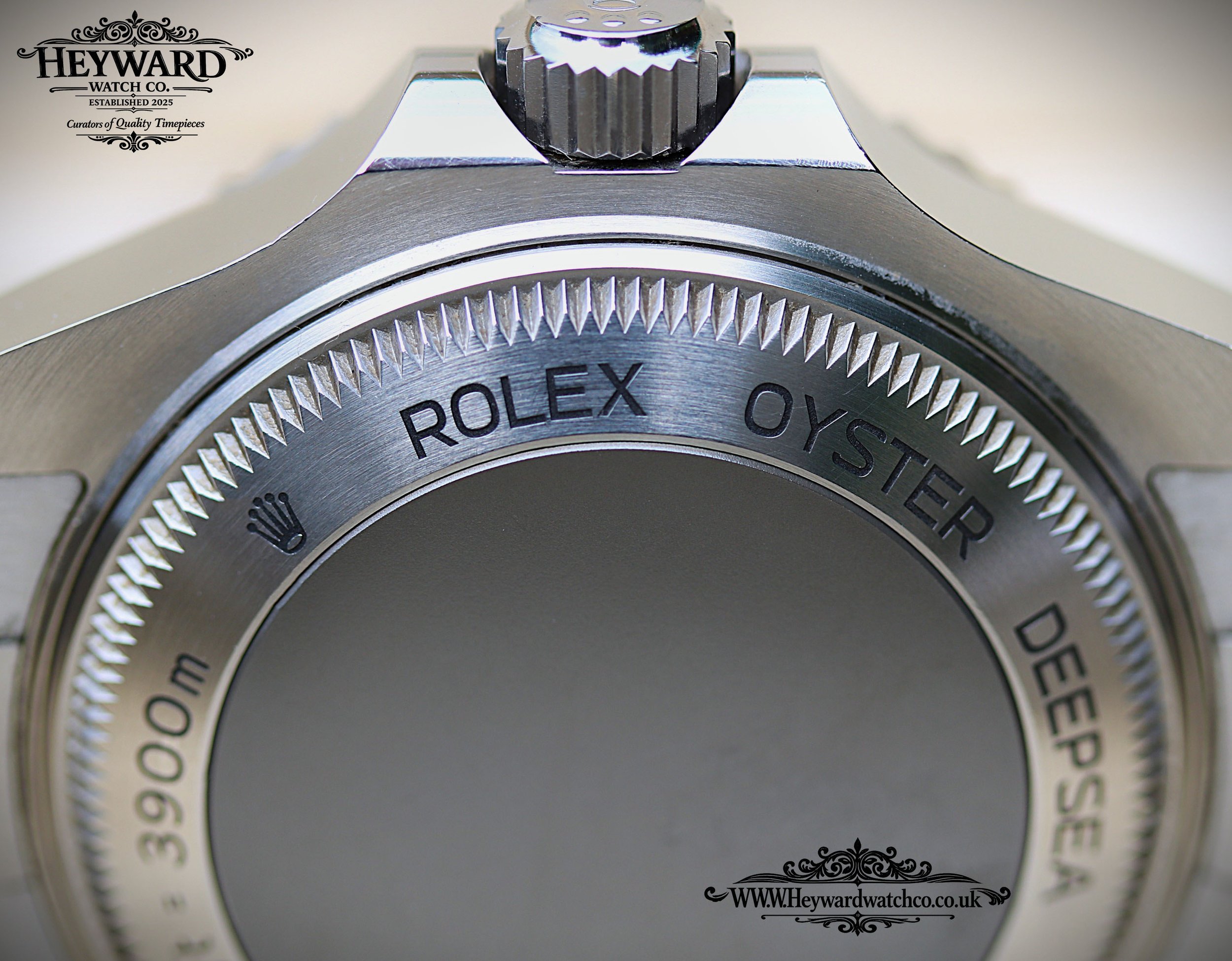 6 Caseback copy.jpg