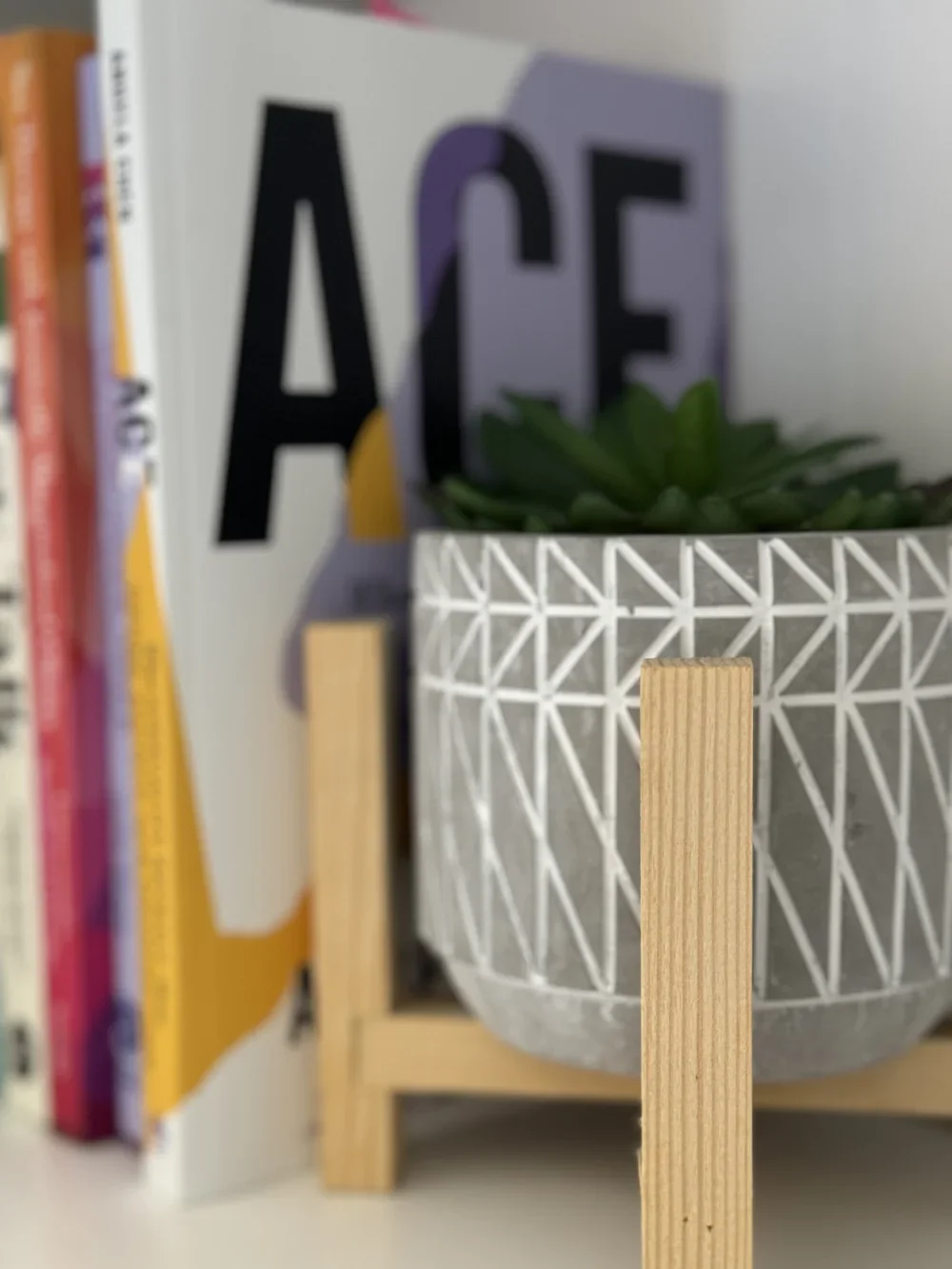 Close-up of a right angle wooden stand holding a large white geometric patterned pot with a green succulent plant inside. Part of a bookshelf with colorful books and art print with large black and purple letters in the background.