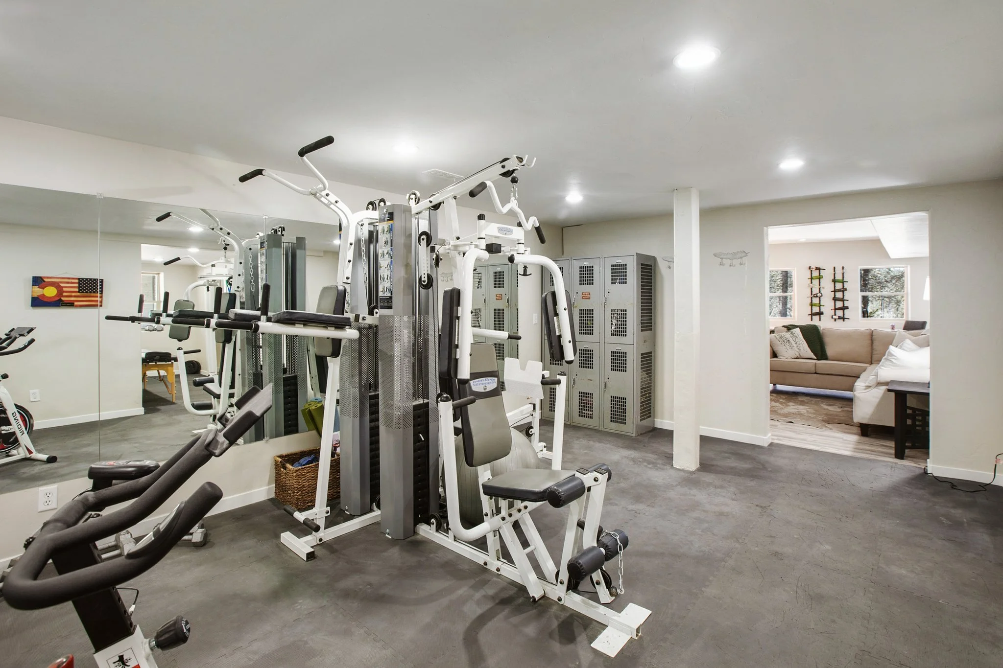 Downstairs Home Gym