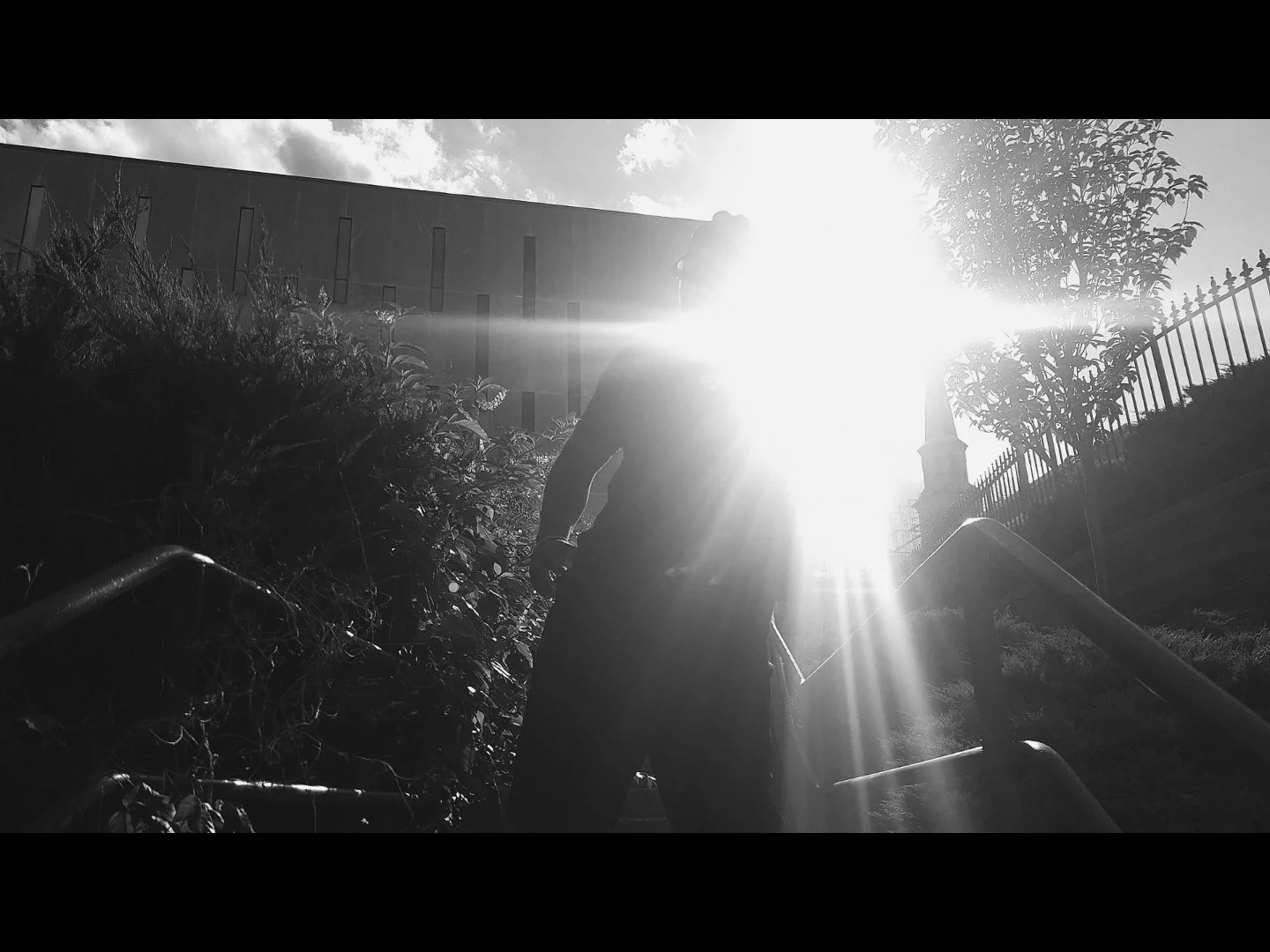 A person walking up outdoor stairs with sunlight shining directly behind them, creating a silhouette effect in black and white, with a building and trees in the background.