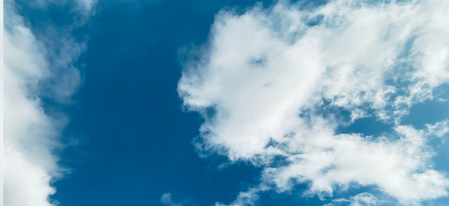 Clean books for business growth