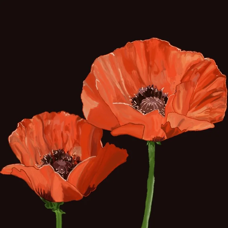 The Poppy's Dark Secret: Sleep, Death, and the Forgotten Language of Flowers