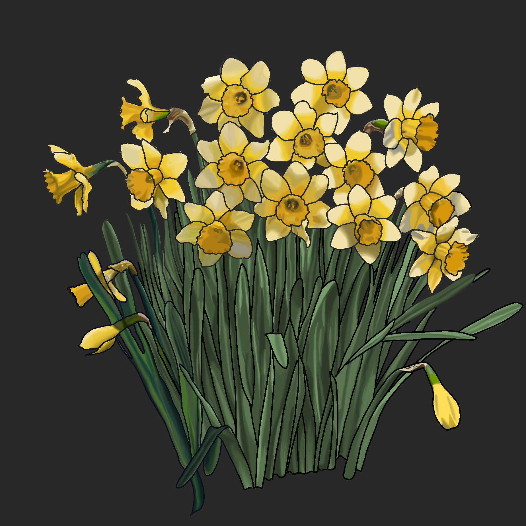 The Daffodil's Shadow: Narcissism, the Underworld, and the Flower That Grew from Grief