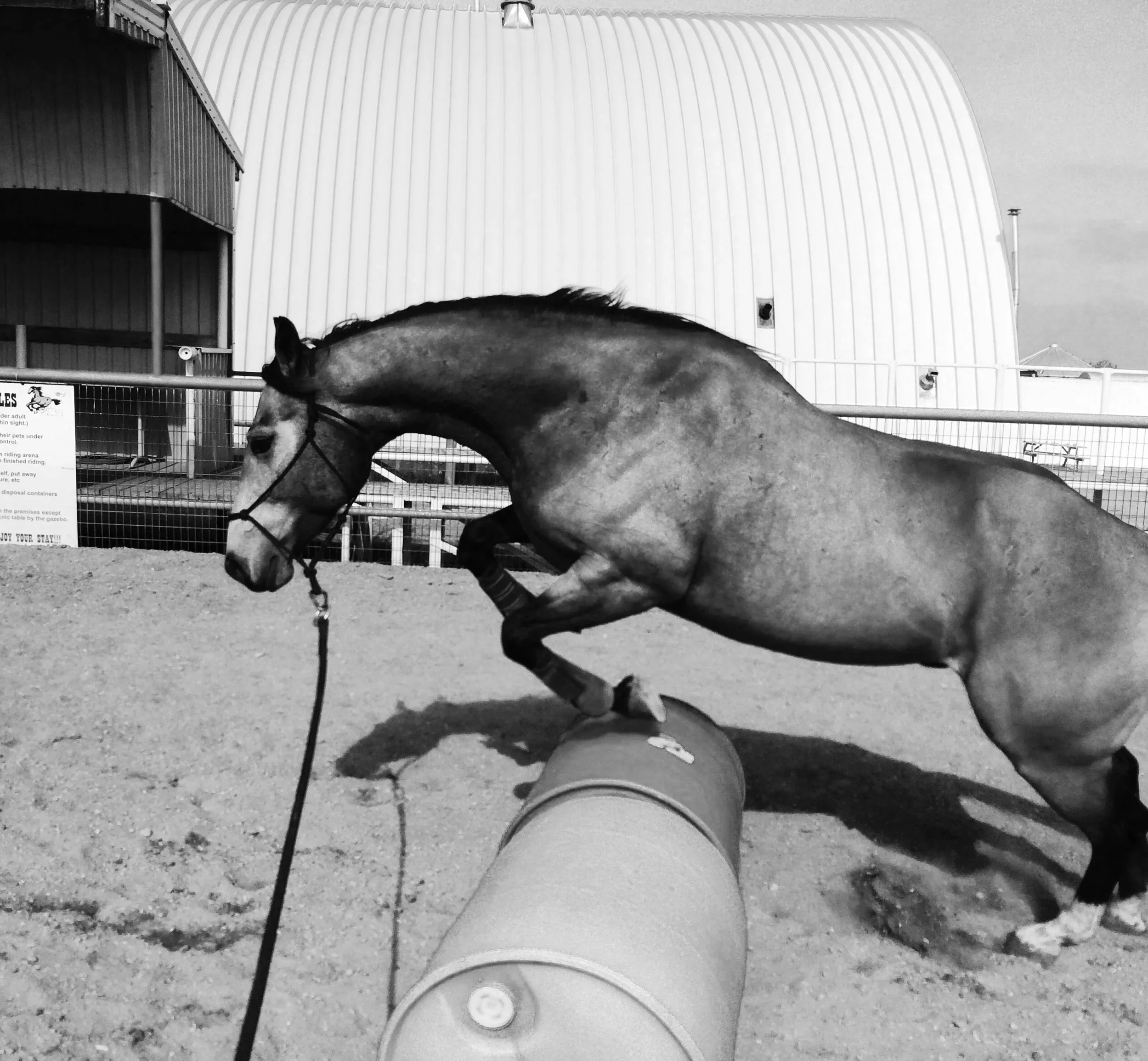 whiskey+jump.jpg