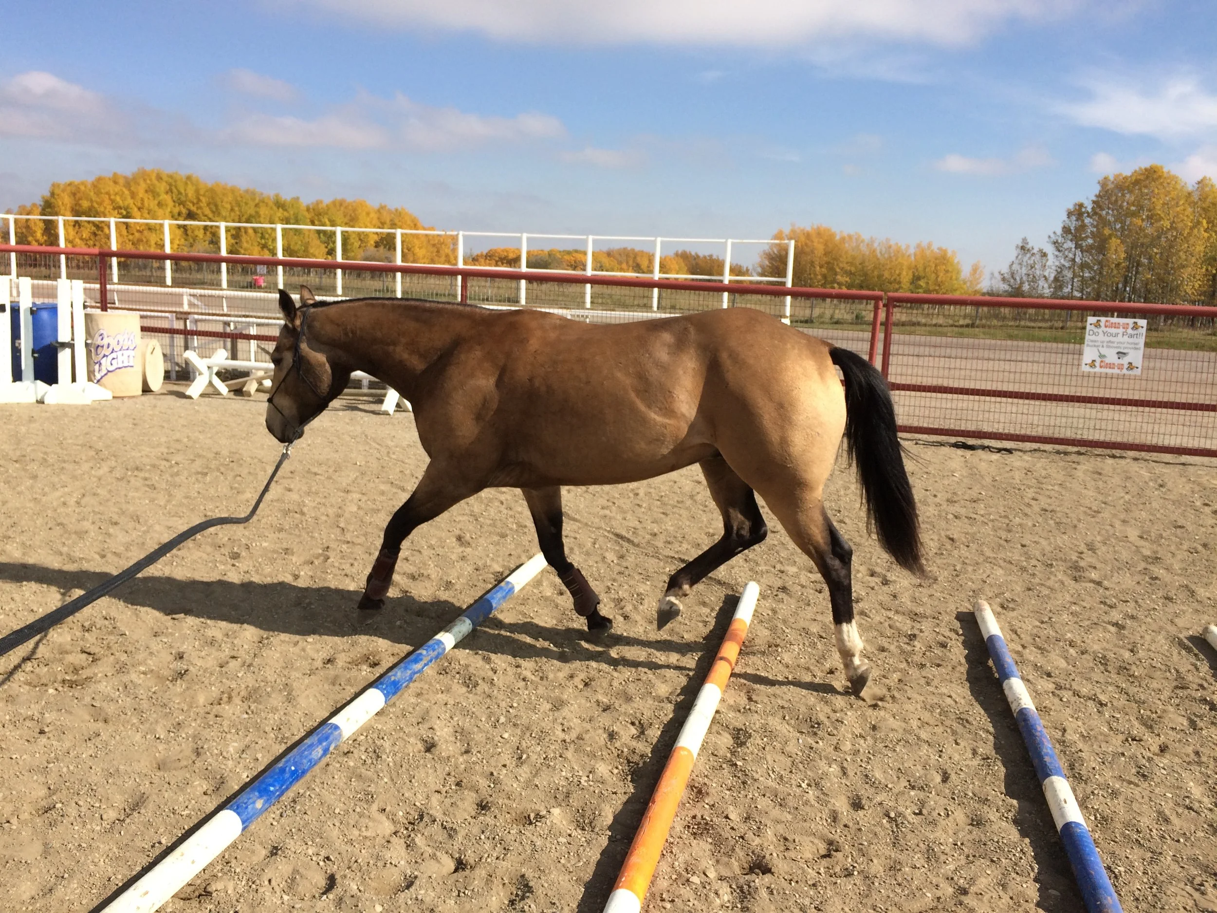 Homecare 101: Pole Work!
