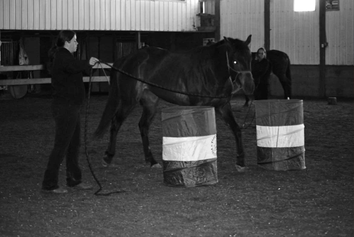 A woman guiding a horse over two barrels in an indoor arena, with another person and horse visible in the background.