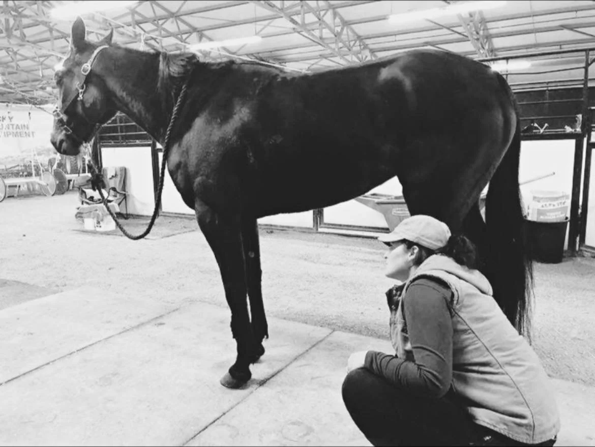 A woman crouches down and looks at a large horse inside a stable or barn.