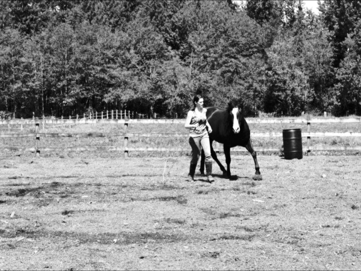 A woman leading a horse across an open field with trees in the background.
