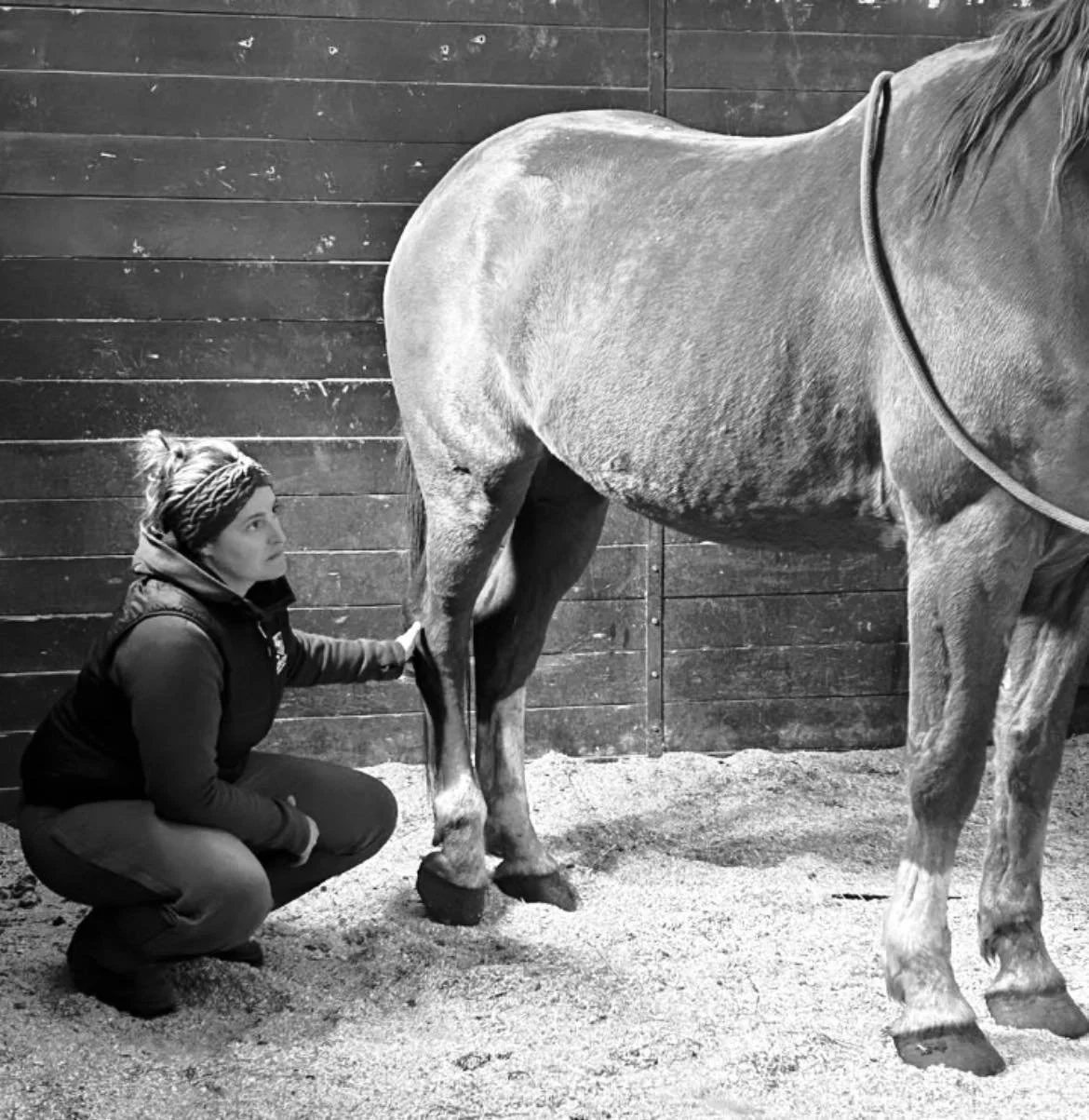 A woman crouching next to a horse in a stable, touching the horse's leg.