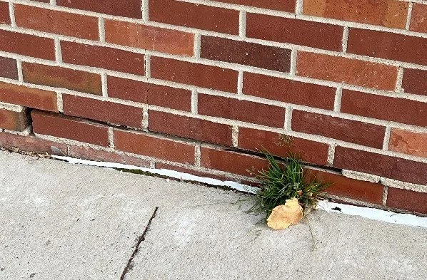 Repair Masonry