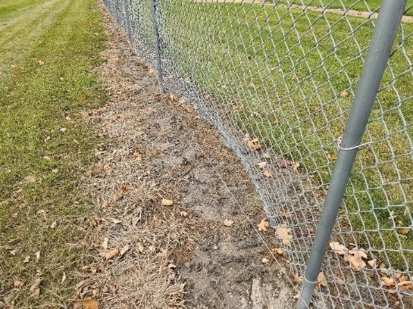 Damaged Fencing