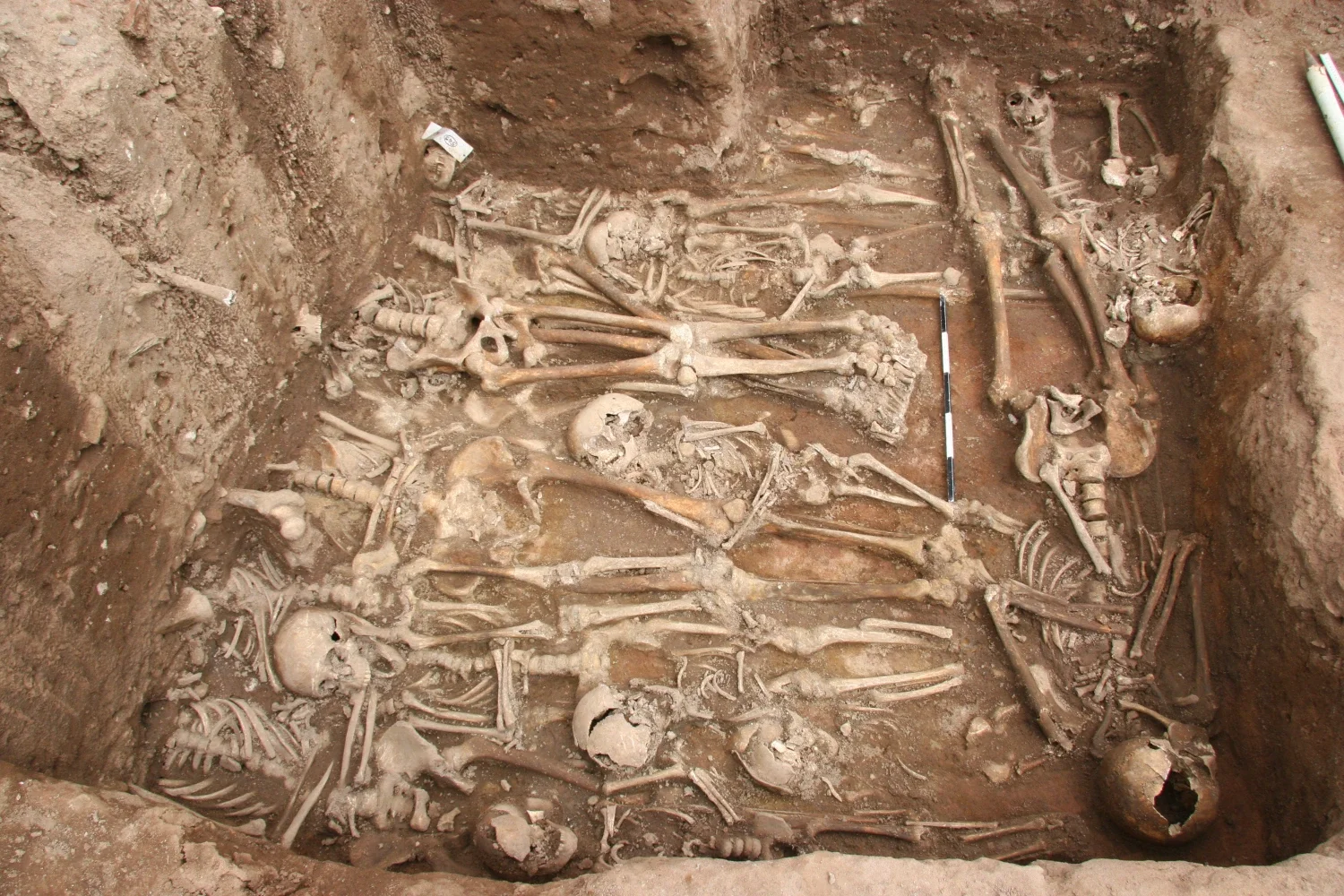 plague grave grave.webp