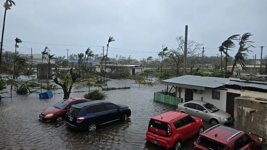 Flooded street with parked cars, damaged trees, and wind-blown debris during a storm.