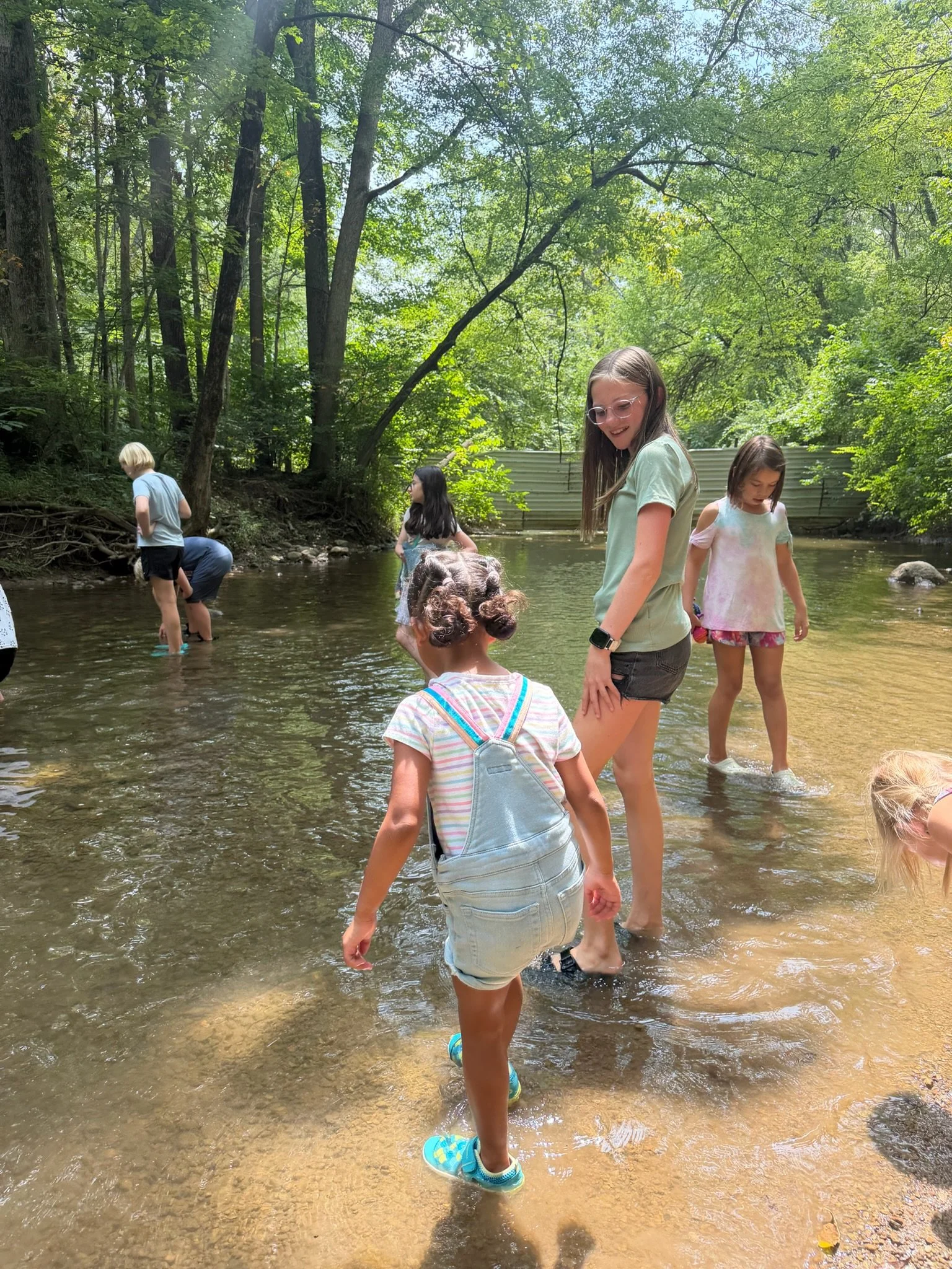 Students explore a shallow woodland creek together, wading through the water and investigating their surroundings.