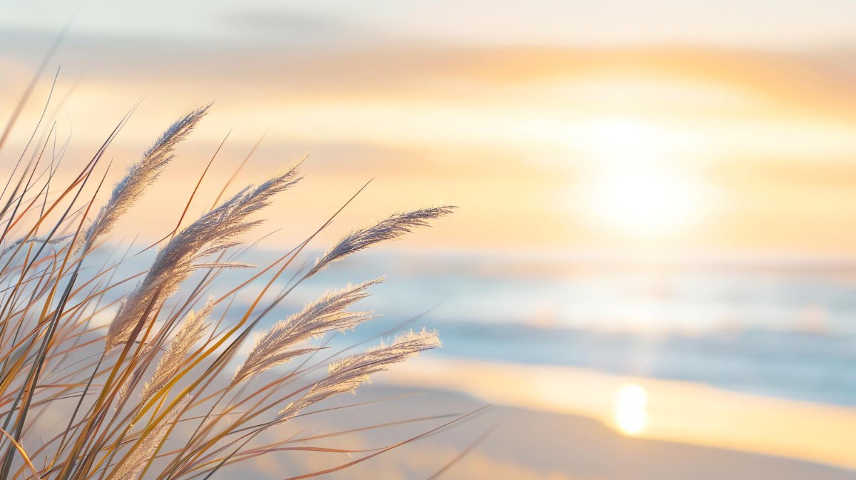 Feathery beach grass standing quietly along the shore of a calm, serene lake.