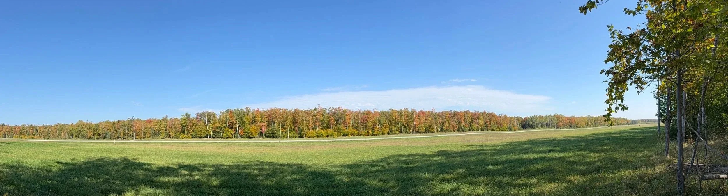 Panoramic view of a calming wide green field bordered by autumn forest under a clear blue sky on Bois Blanc Island, Michigan.