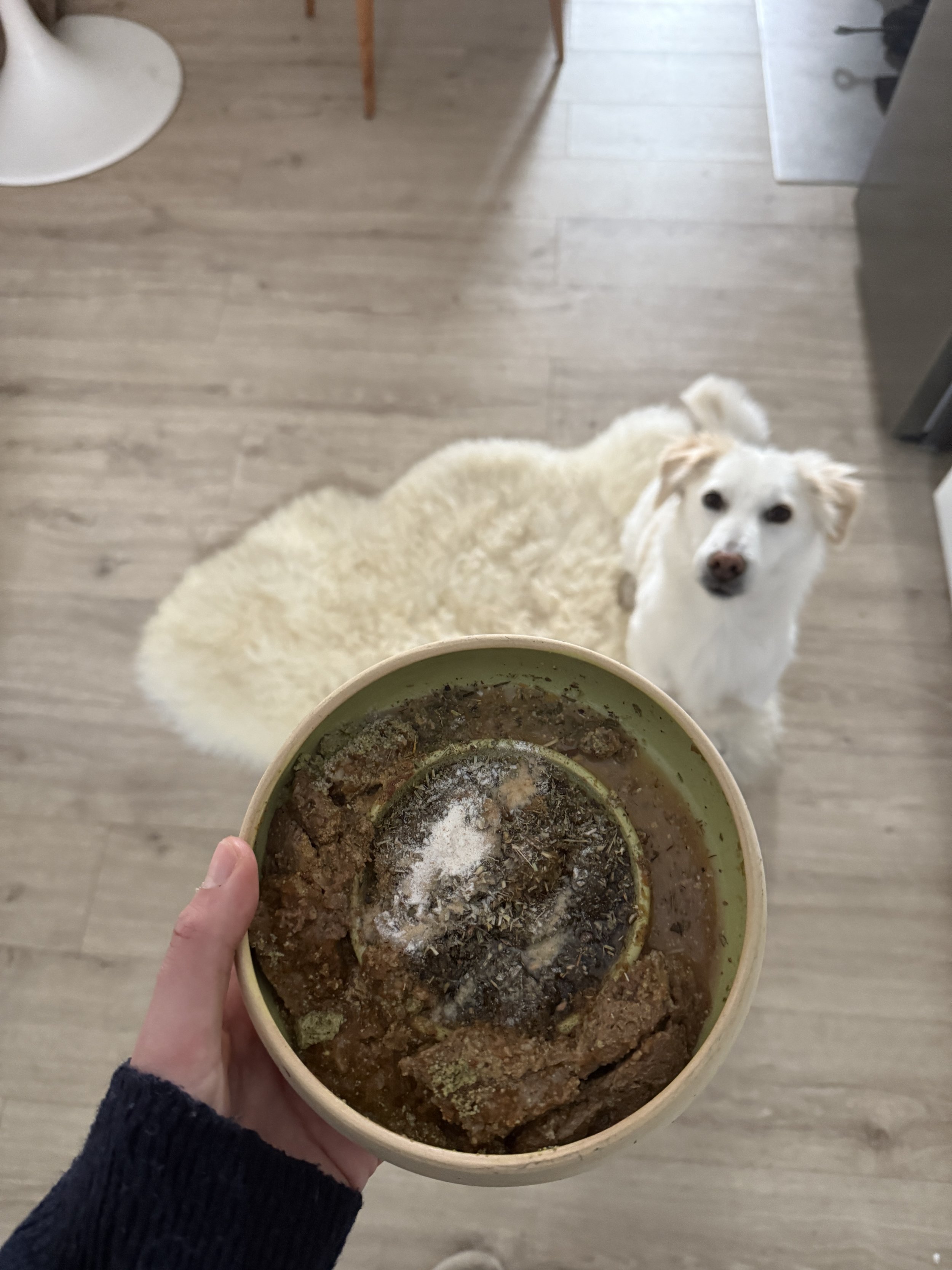 Spezielle Ernährungskonzepte