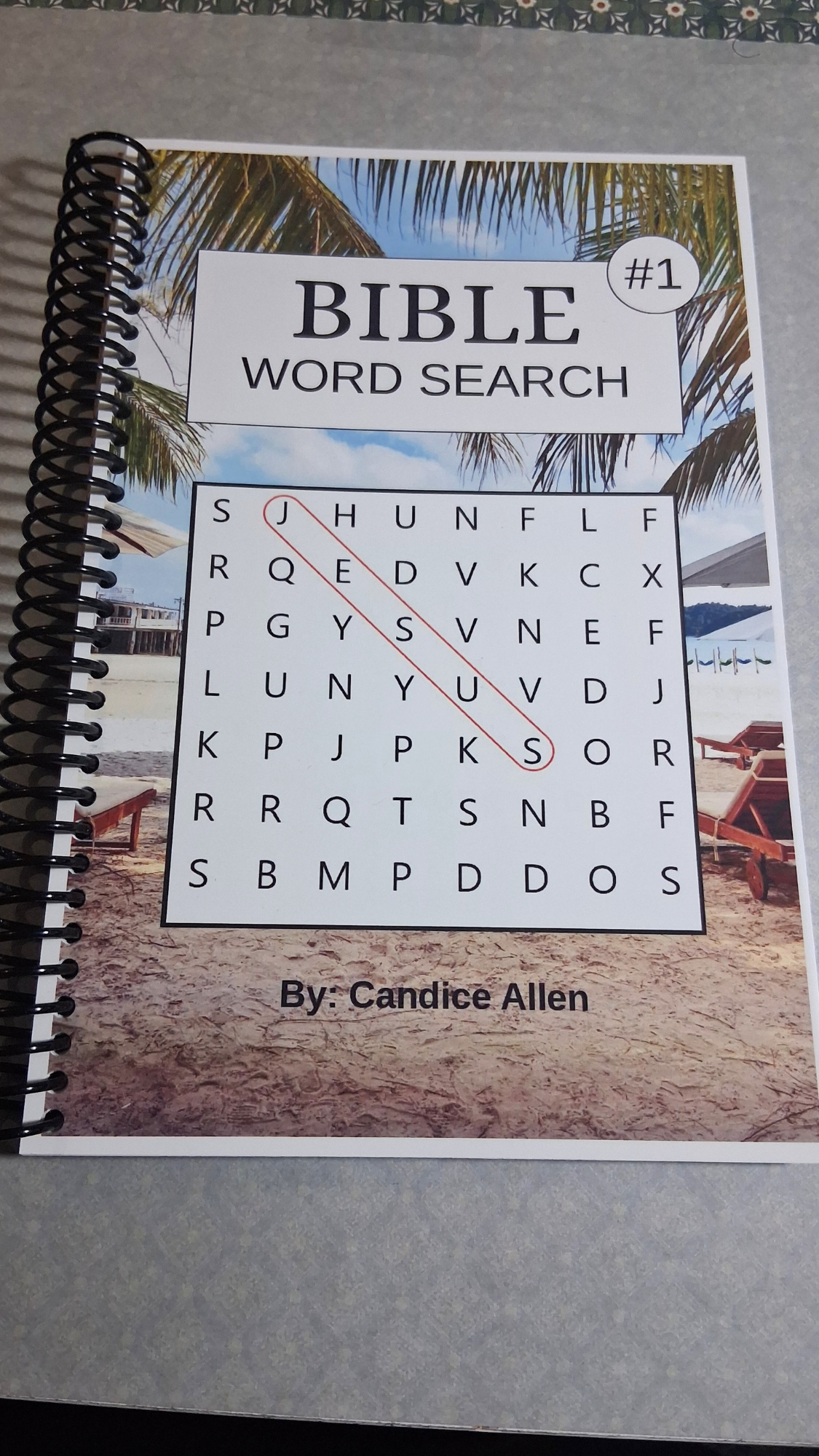 Spiral Bound Bible Word Seach #1