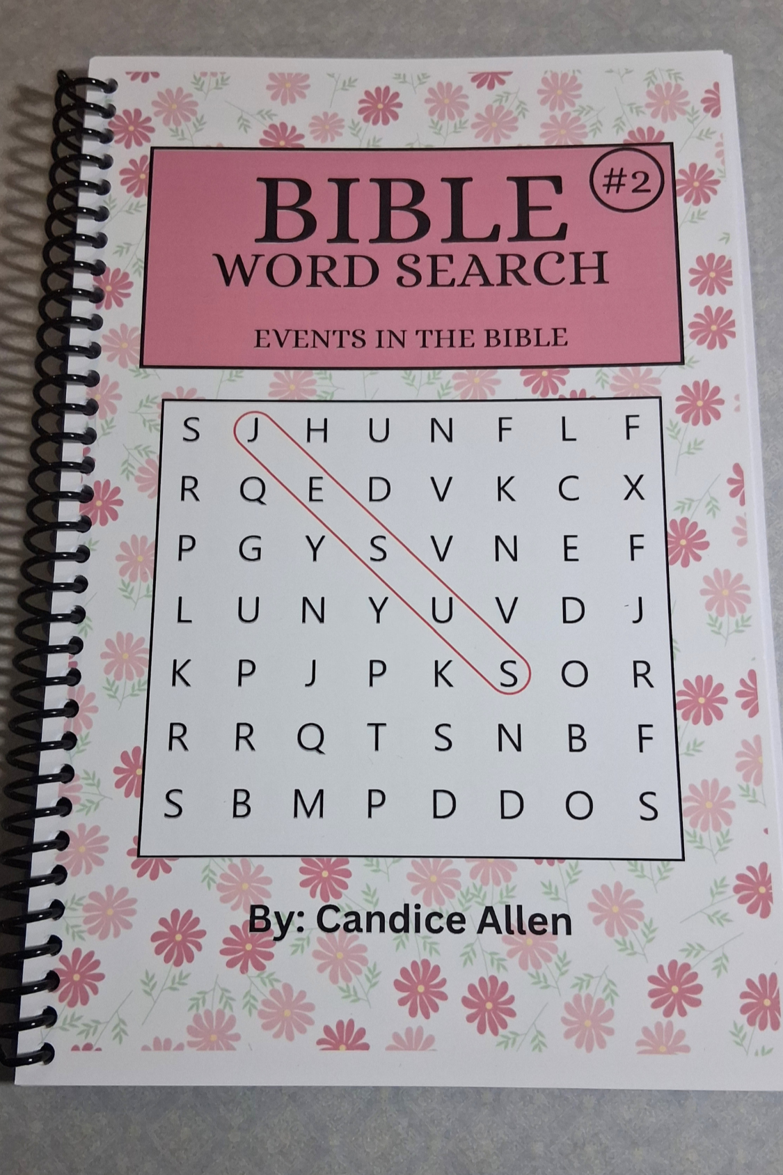 Spiral Bound Word Search Book #2