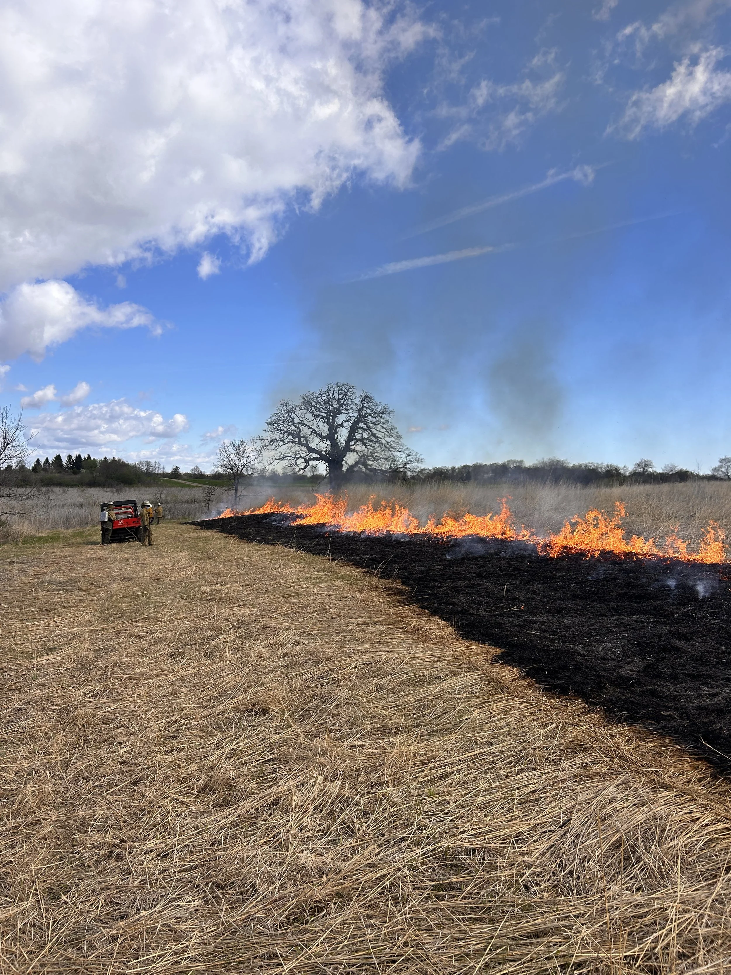 Prescribed Burns