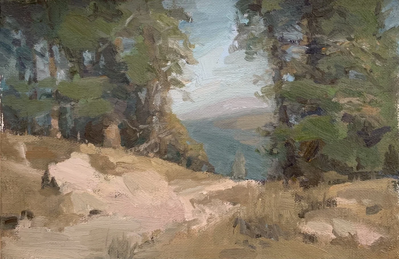 through-the-trees-near-reno.jpg