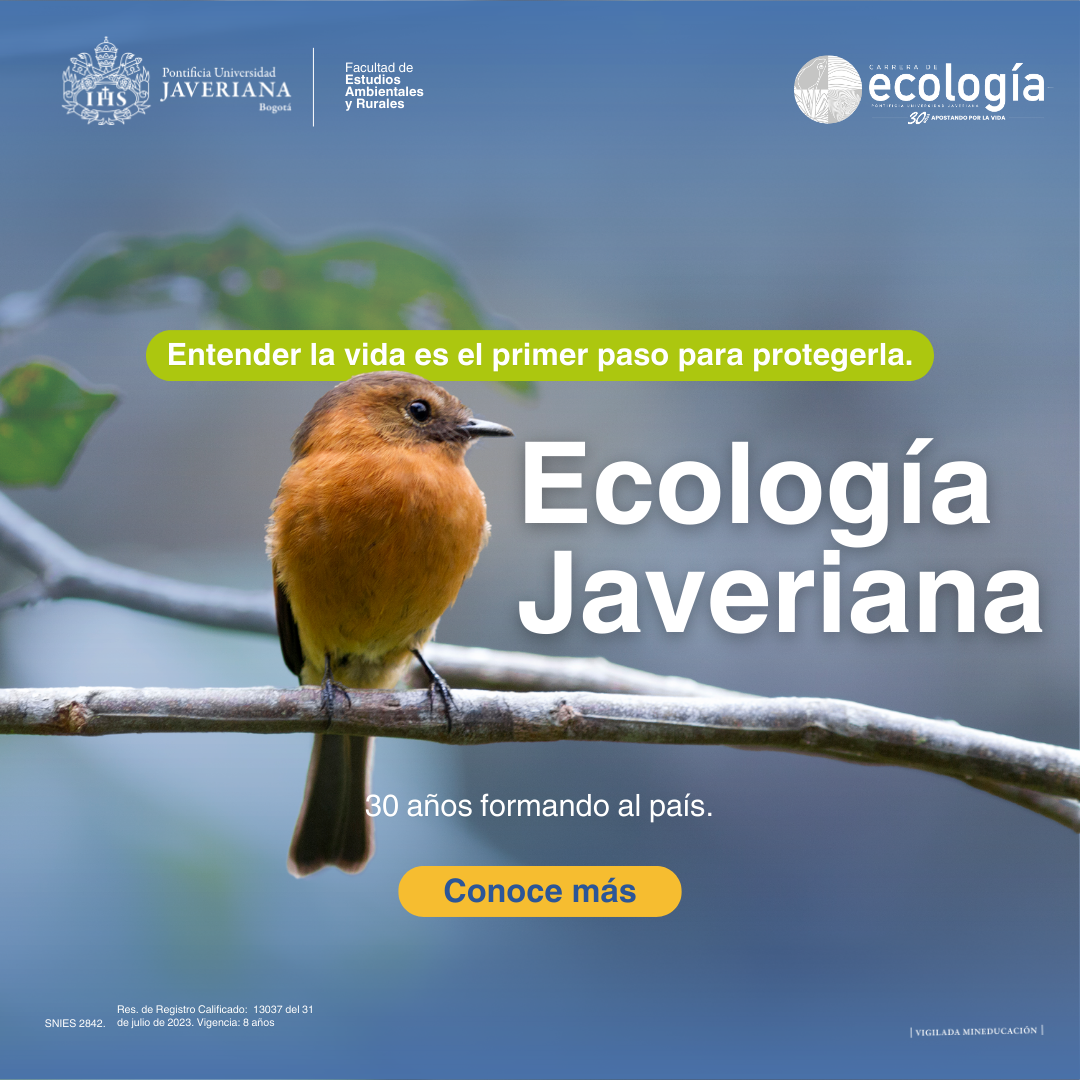 e42899bf-6553-4409-8cb9-08d7e07c2964_rw_1200.png
