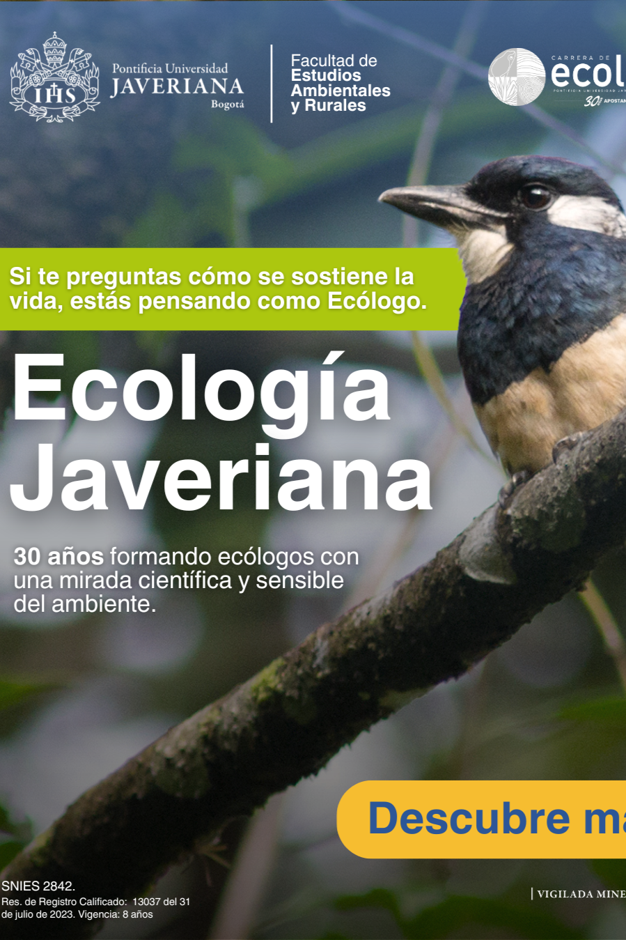 Universidad Javeriana - Keyvisual