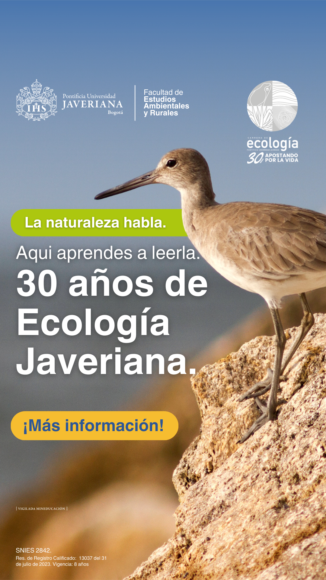fc7c5e00-db20-428d-9844-62fbcfee055e_rw_1200.png