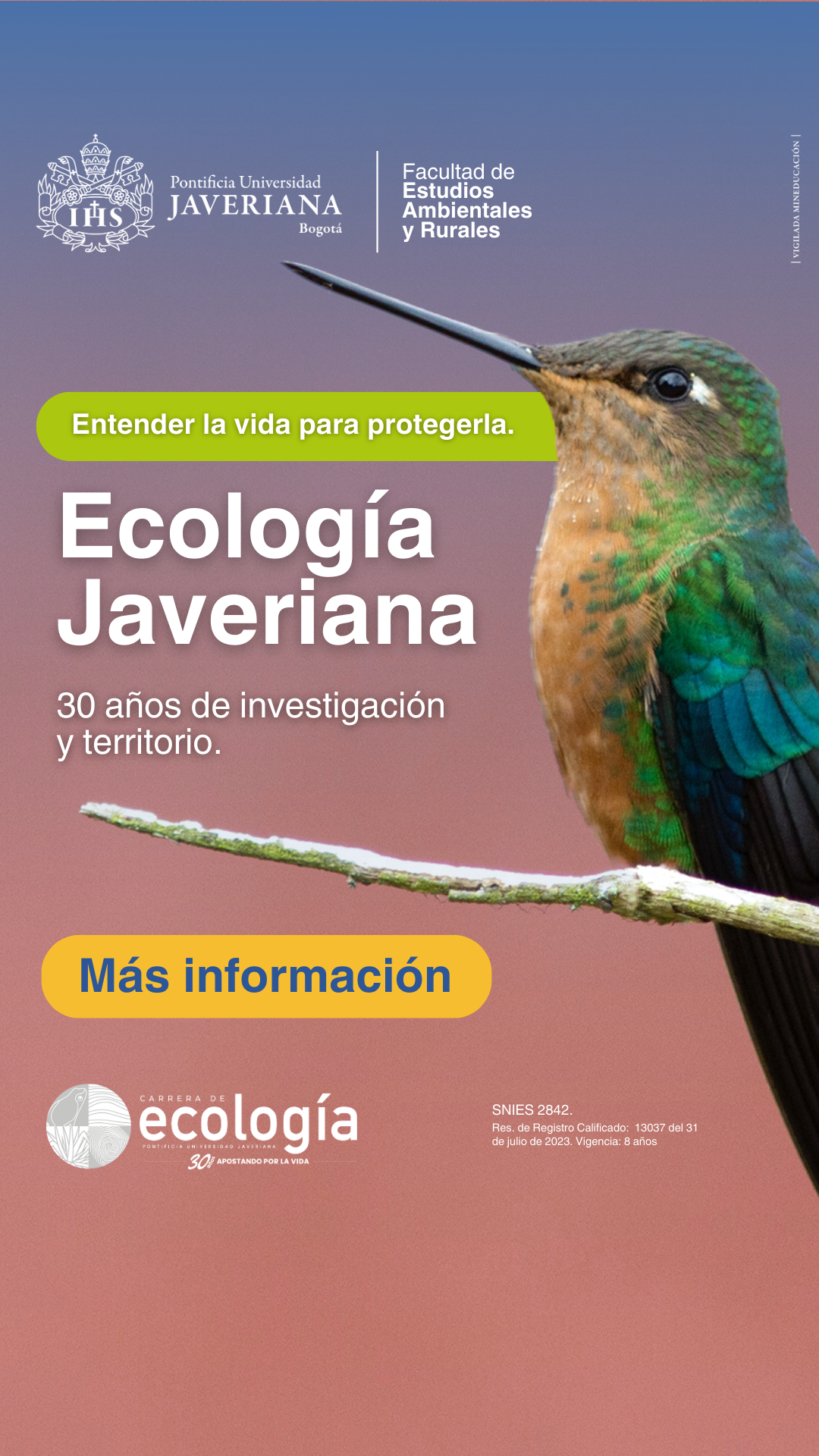 74dbd2c7-fedf-4600-a261-88807afd95fd_rw_1200.png