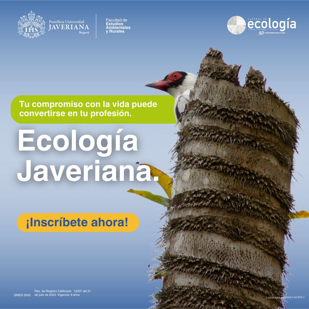 5cc72e72-9a6b-486a-a1f8-670b93a38722_rw_1200.png