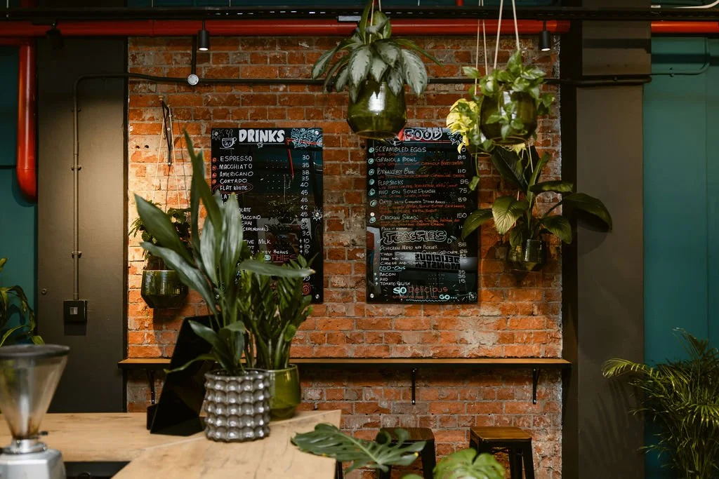 JesterCafe-3.jpg