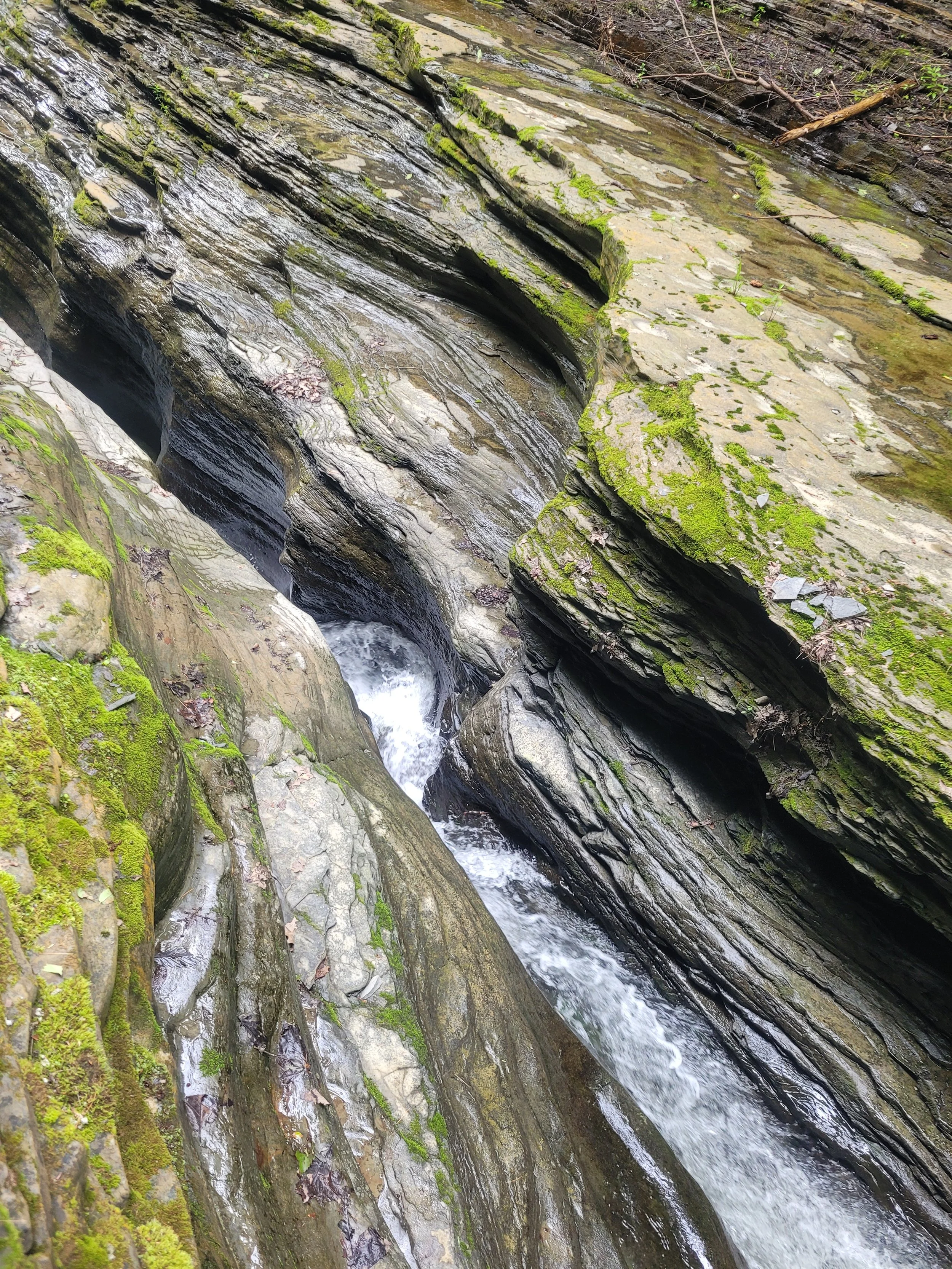A narrow rocky stream with moss-covered, weathered rock formations on both sides, flowing through a crevice in a forested area.