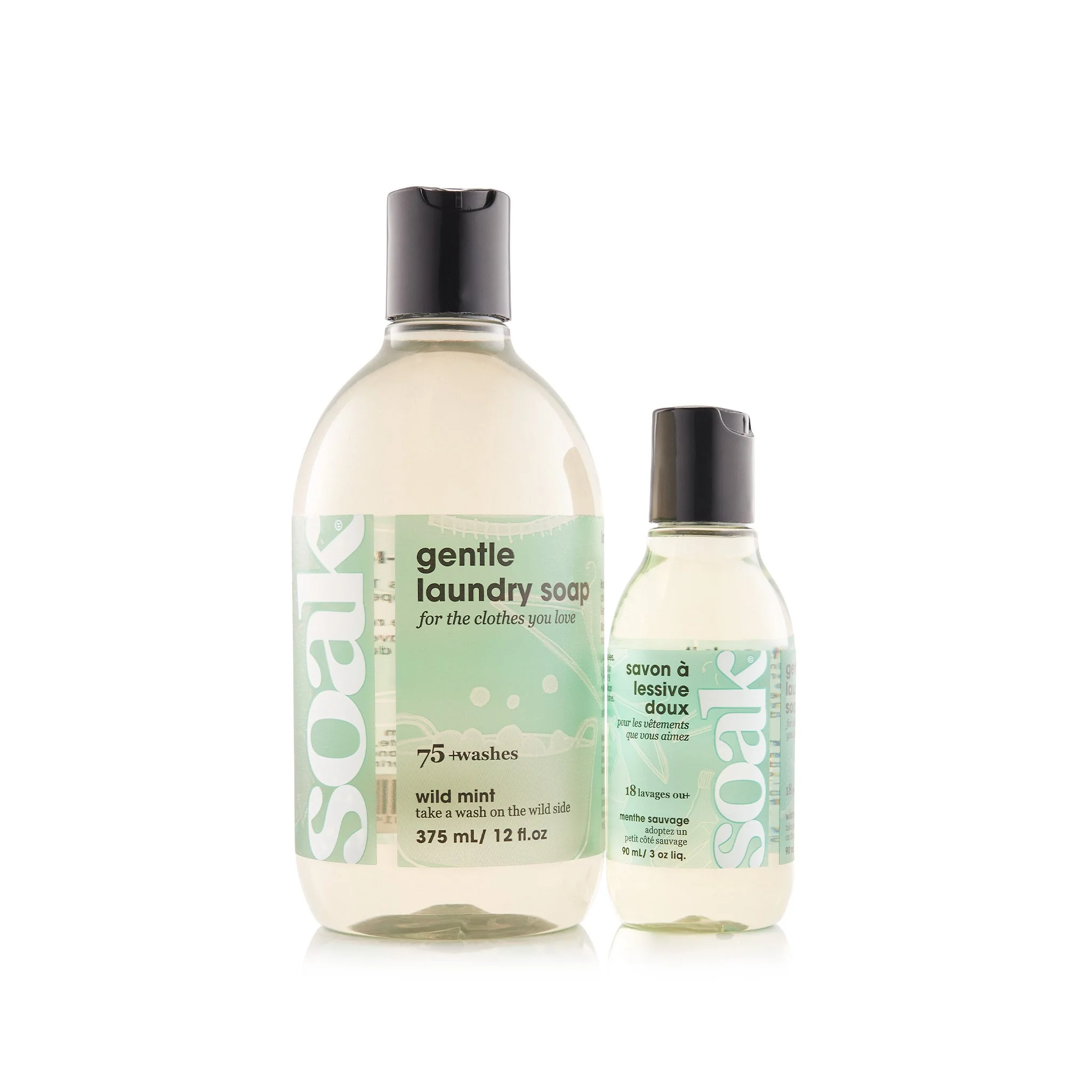 1c R-SET-S07S06S  WildMint SoakDuo 2240-0810-SOAK.jpg