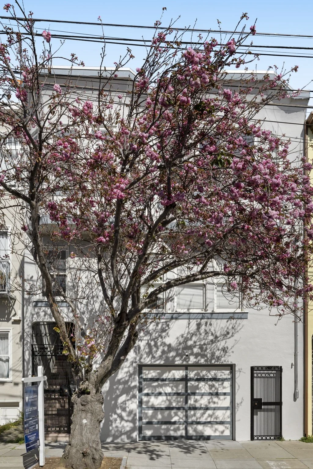 A pink flowering tree in front of a white residential building with a black metal gate and garage door.
