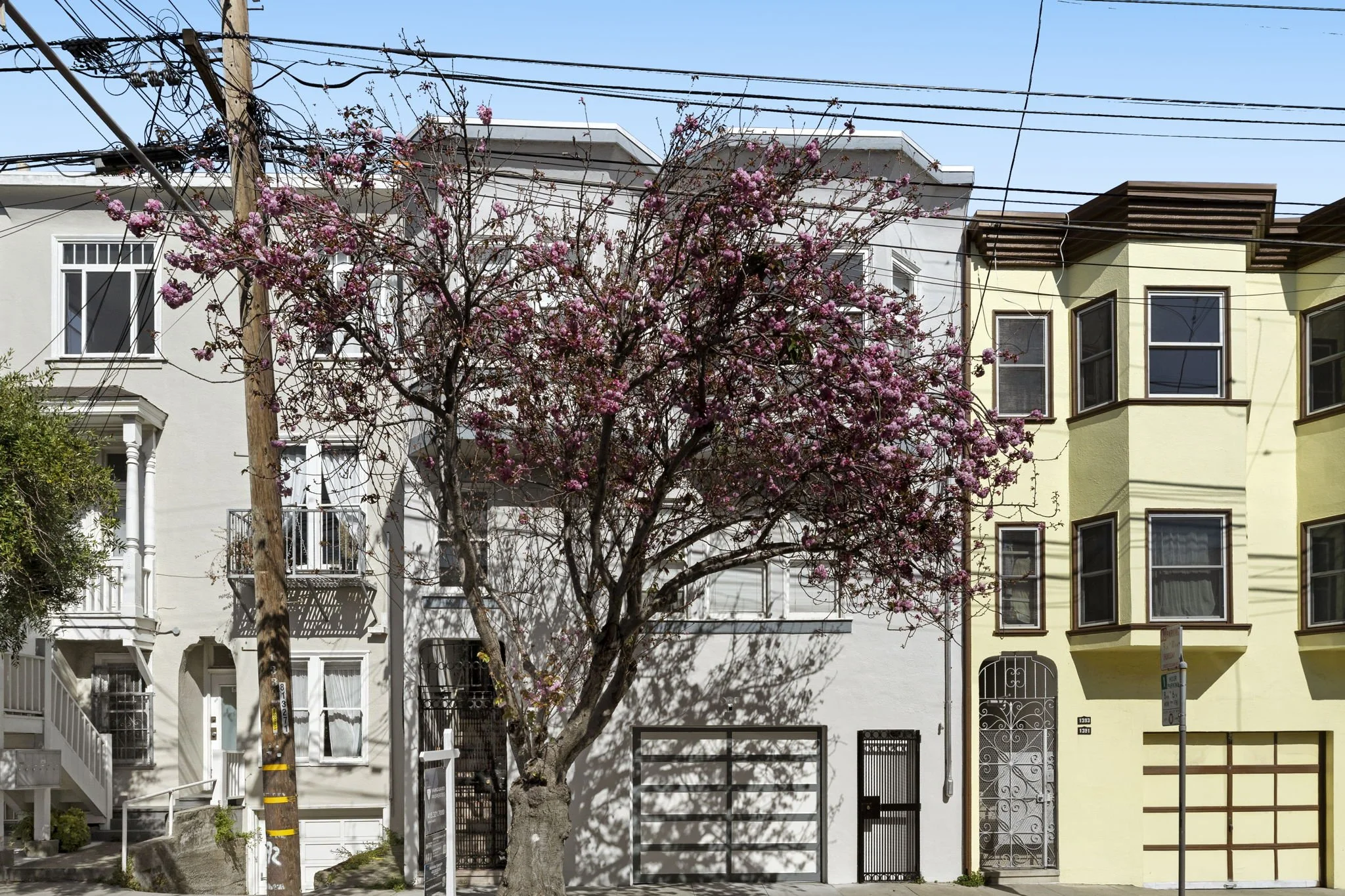 A city street scene with a flowering pink tree in front of a white building and a yellow building. Utility poles and wires are also visible.
