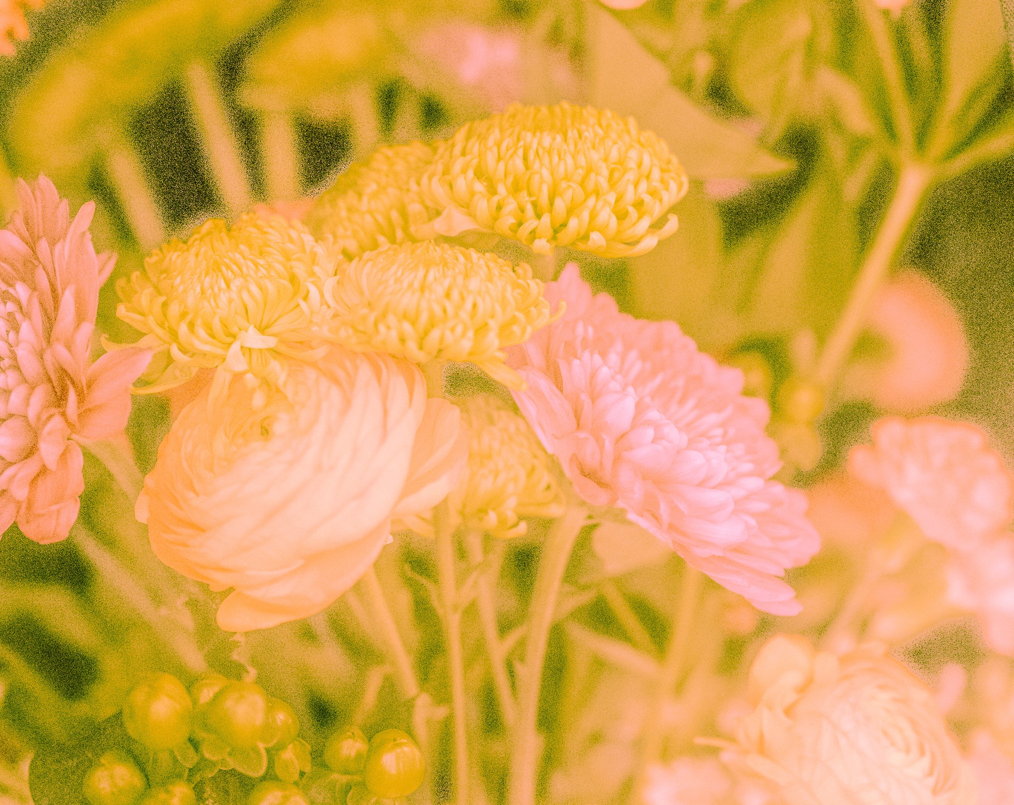 DSC09807.jpg