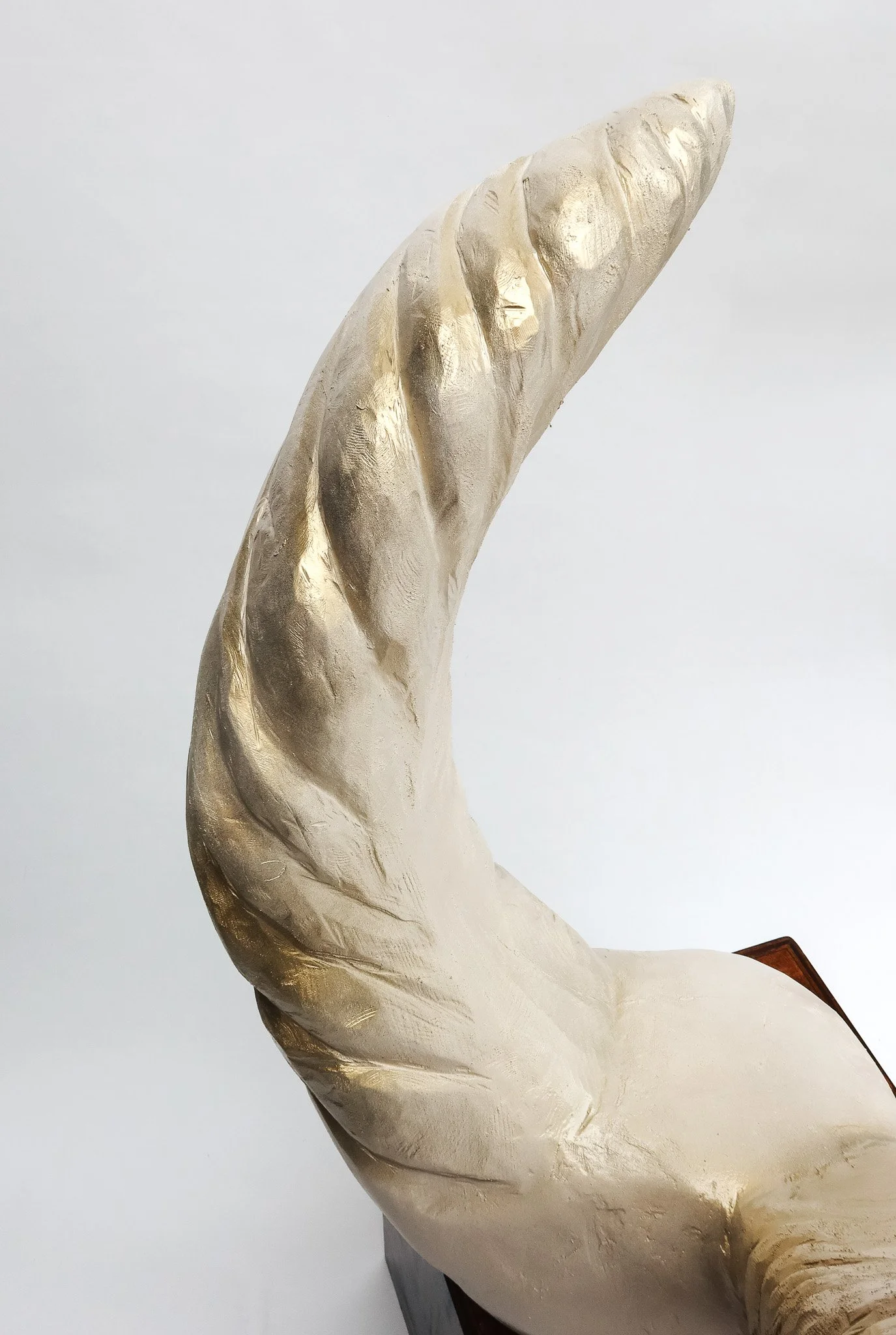 SP26_Broadwell.Sydney_WOOD_Detail2.jpg