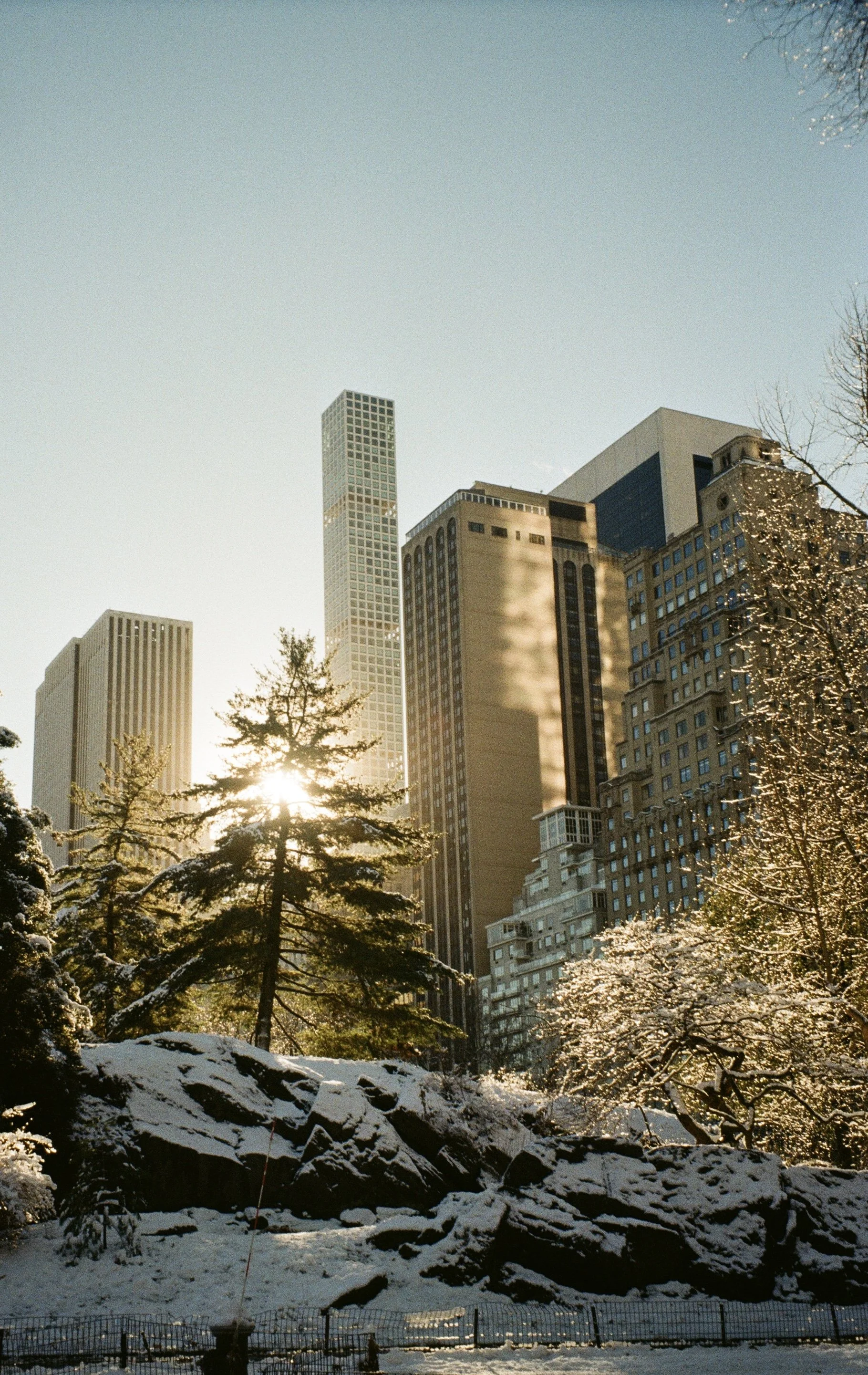 Broadwell_GlowinginThePark _Photography..jpg