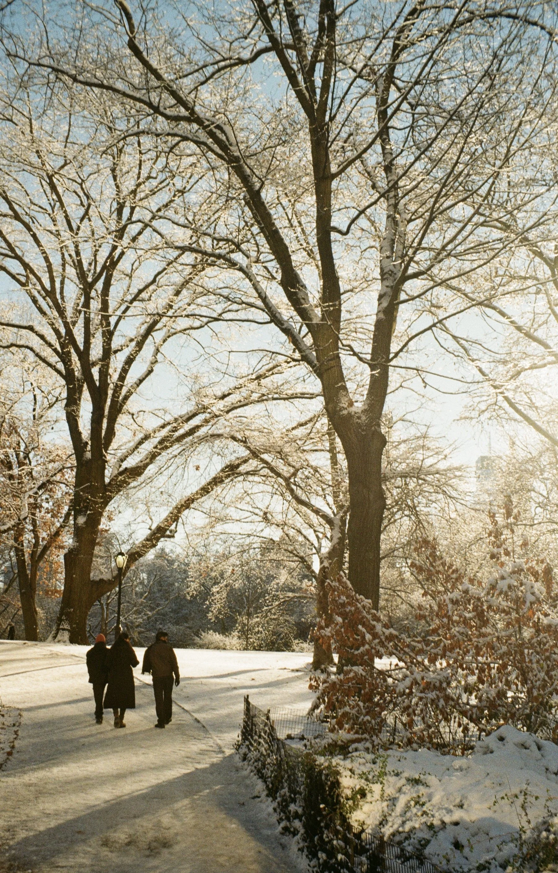 Broadwell_SnowStroll _Photography..jpg