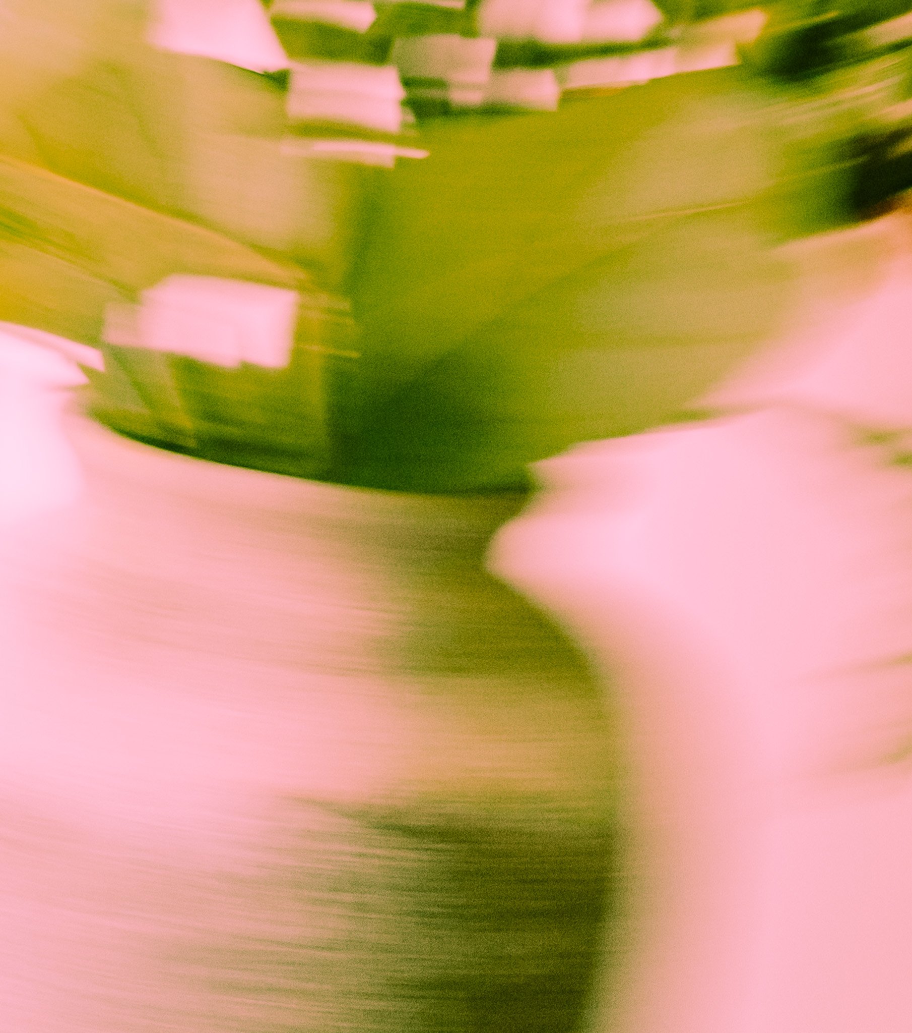 DSC09854-2.jpg
